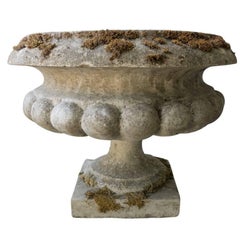 Cement Medici Urns From France