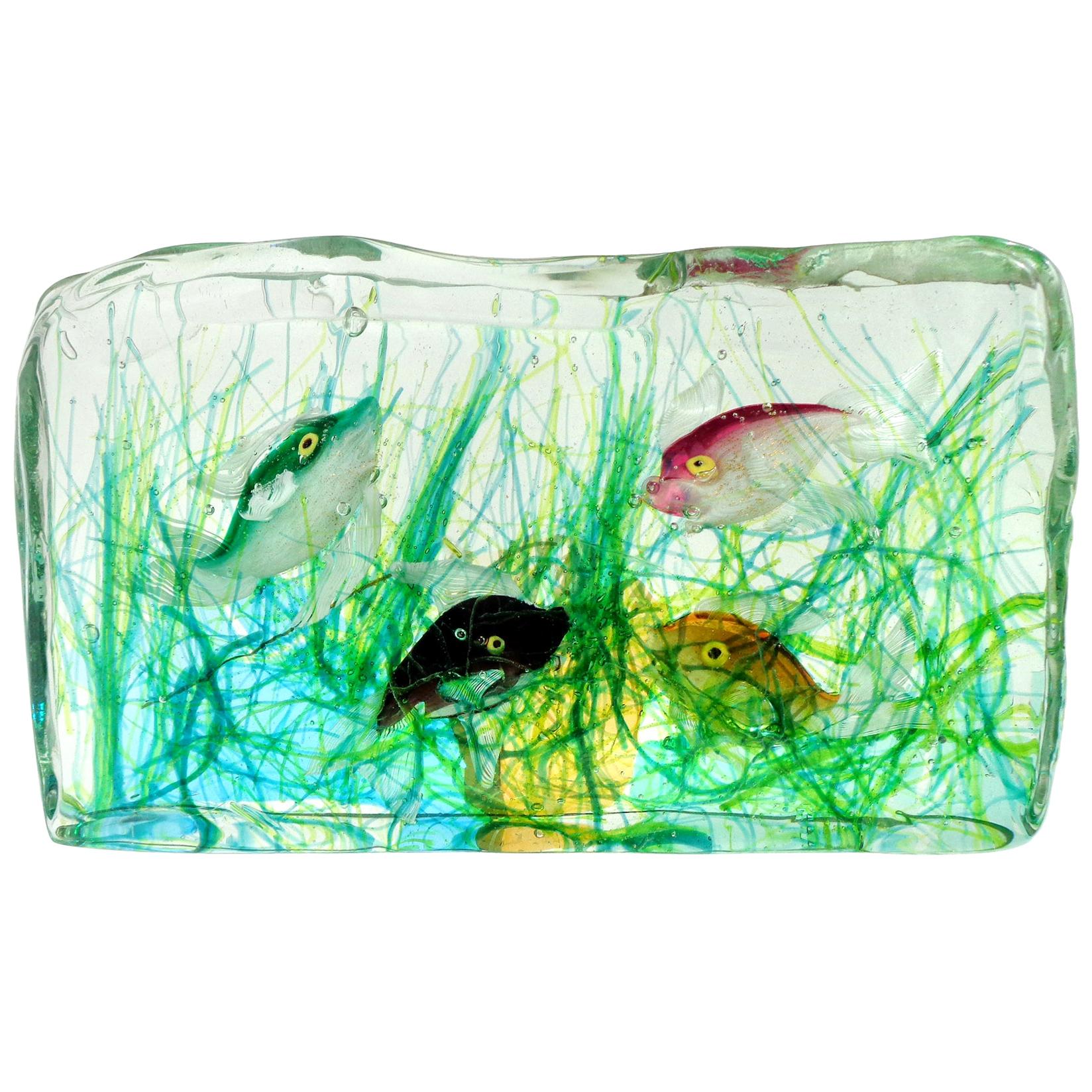 Cenedese Murano Green Pink Orange Black Fish Italian Art Glass Aquarium Block