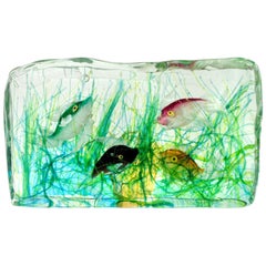 Cenedese Murano Grün Rosa Orange Schwarz Fisch Italienische Kunst Glas Aquarium Block