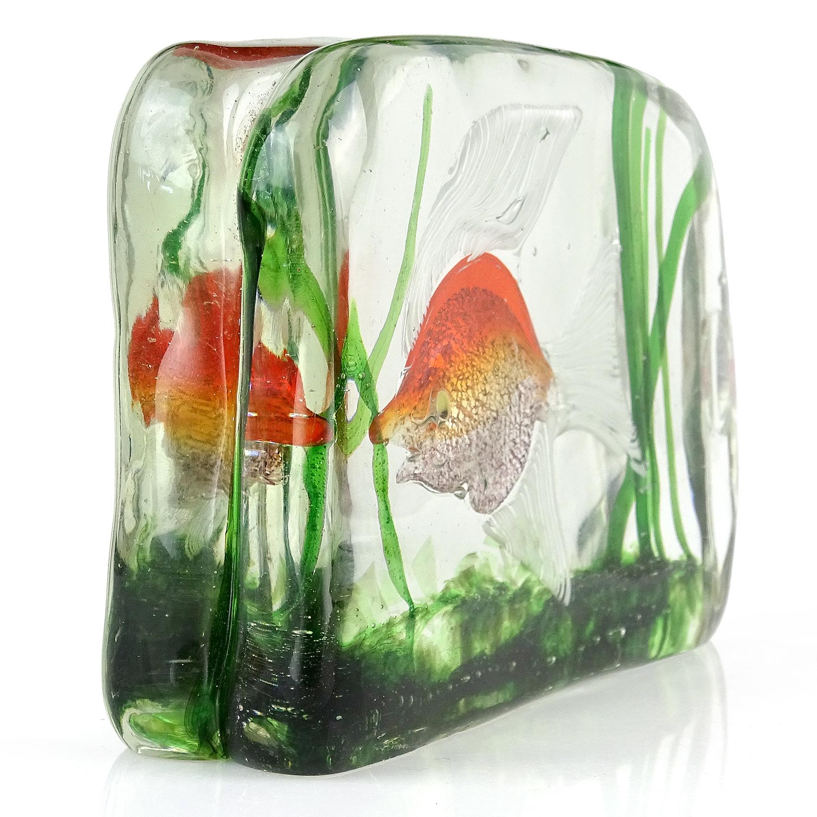 Beautiful vintage Murano hand blown orange and silver flecks fish Italian art glass aquarium sculpture. Documented to the Cenedese Company, and attributed to designer Alfredo Barbini. The fish has ribbon fins in white, swimming among green algae.