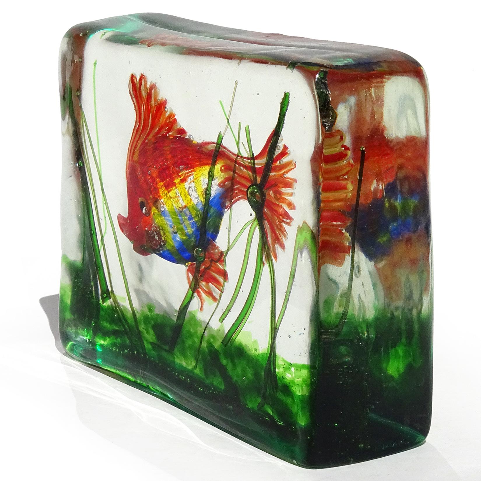 murano aquarium block