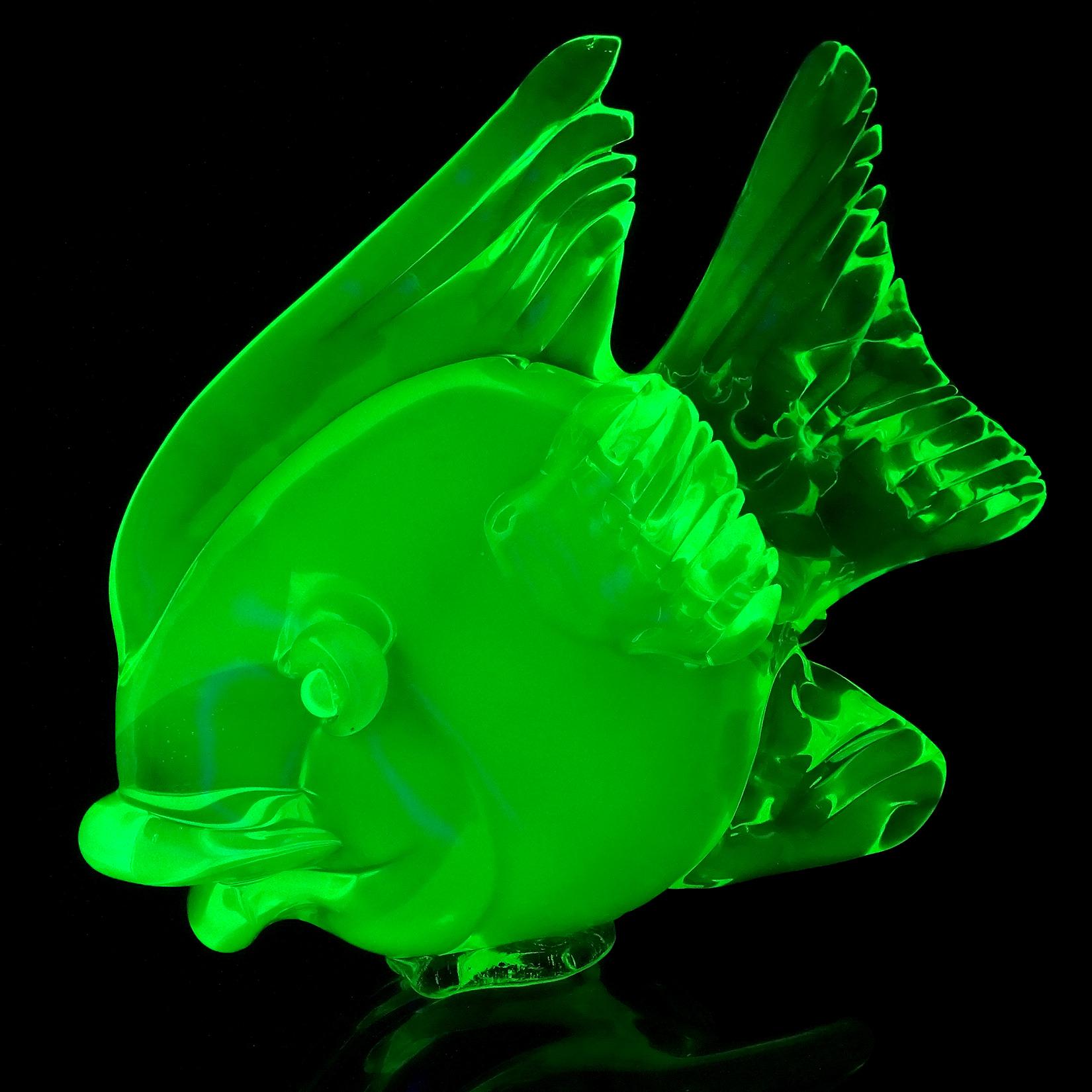 Beautiful, extra large, Murano hand blown Sommerso glowing yellow green and blue Italian art glass fish sculpture. Documented to the Cenedese company. Created with Uranium glass, which glows neon green under a black light. The fish is swimming on