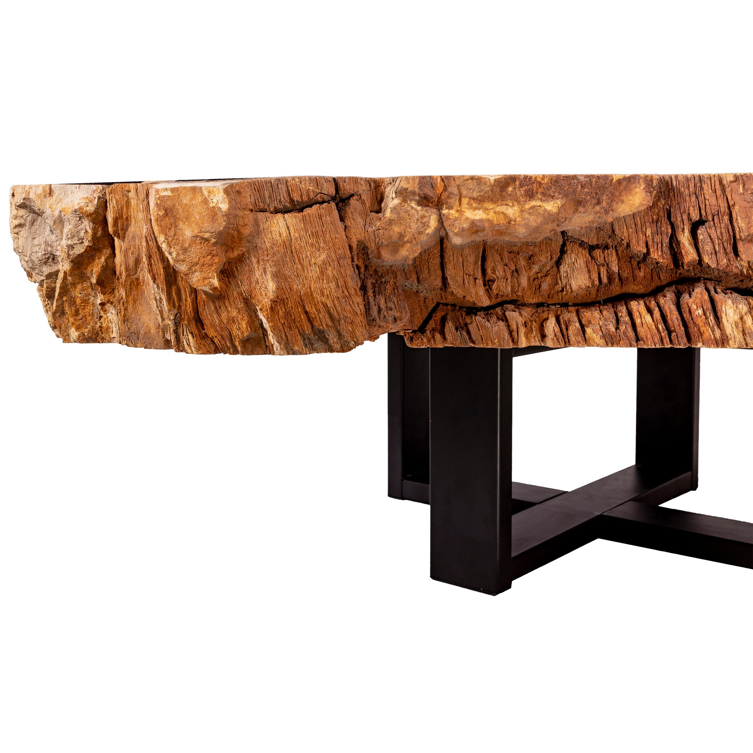 Center of Coffee Table, Natural Circular Shape, Petrified Wood with Metal Base 4