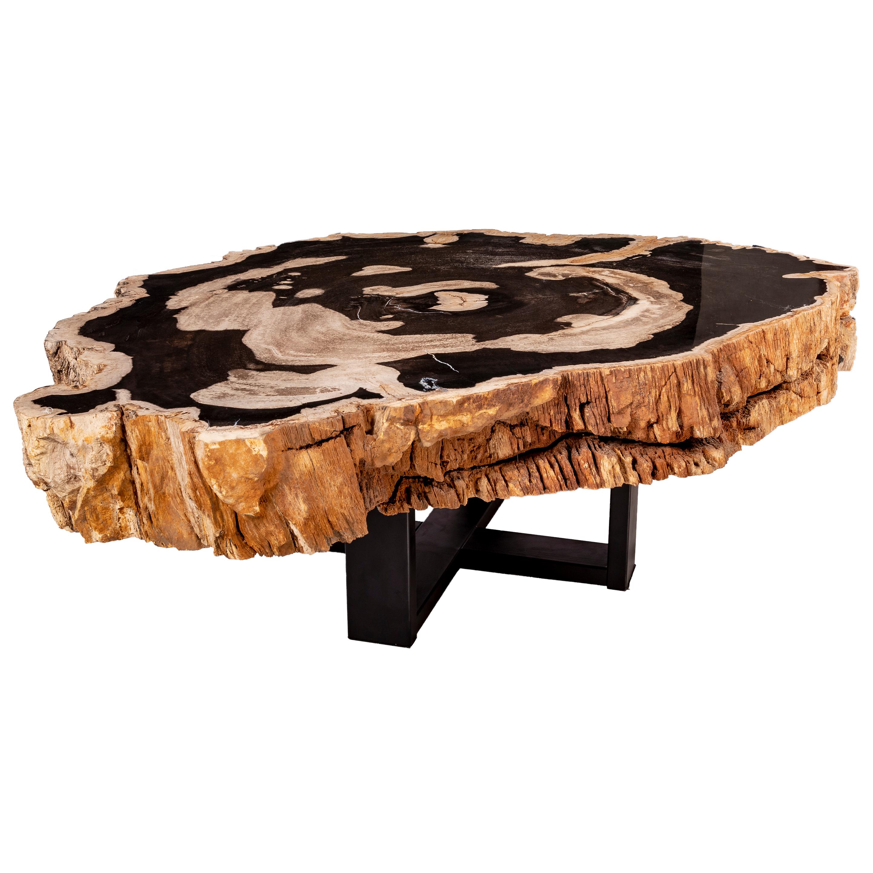 Organic Modern Center of Coffee Table, Natural Circular Shape, Petrified Wood with Metal Base
