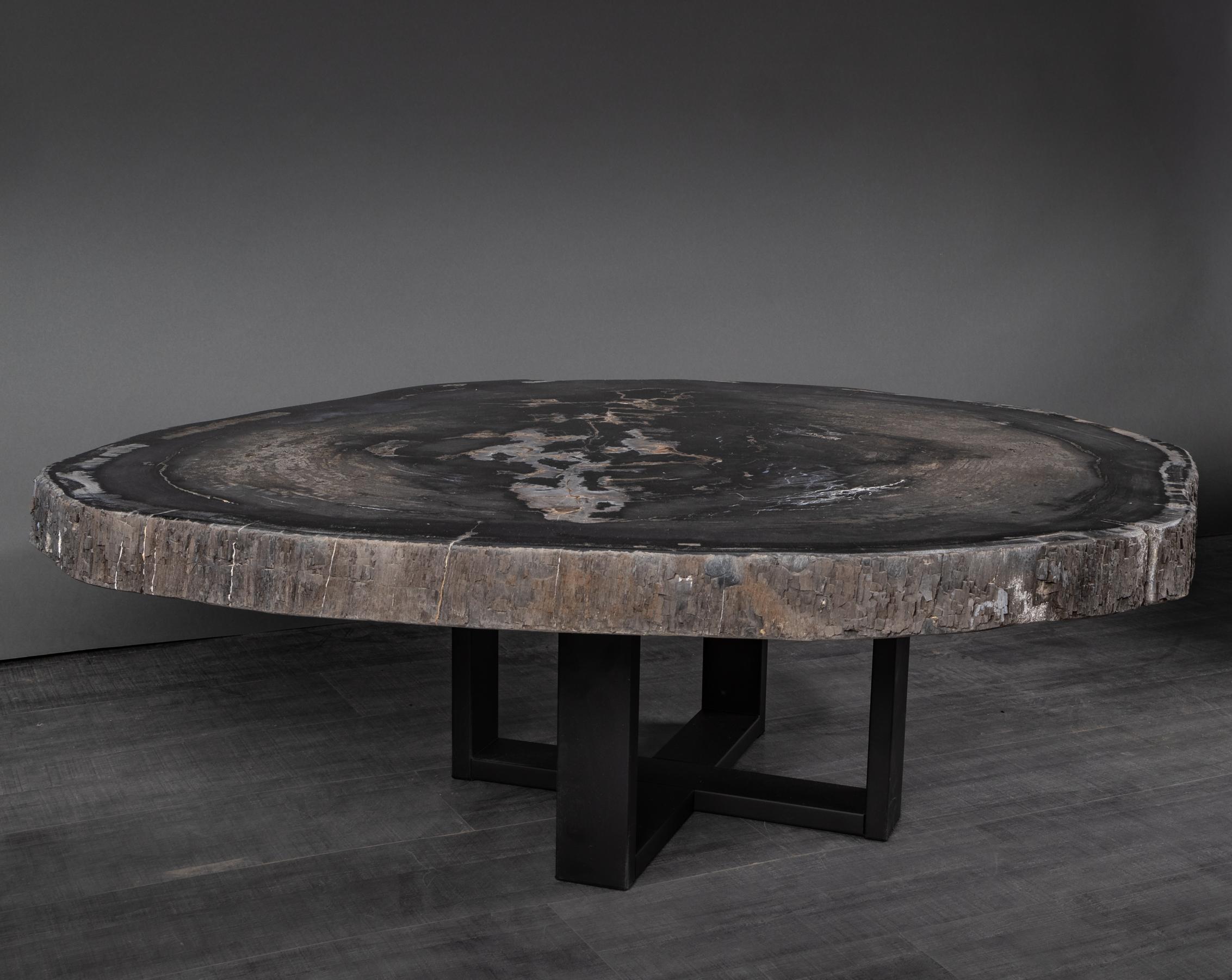 Organic Modern Center or Coffee Table, Natural Circular Shape, Petrified Wood with Metal Base