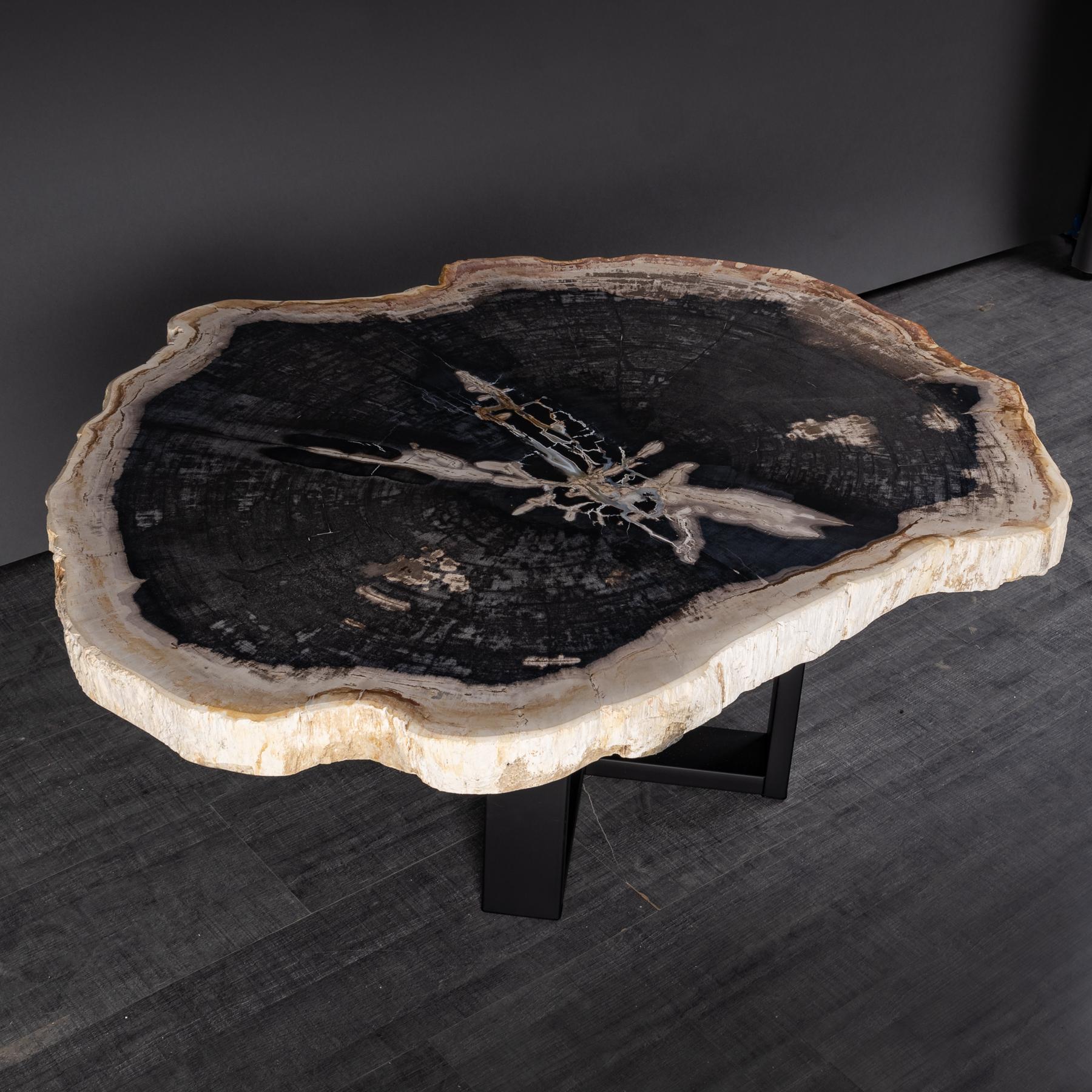 Organic Modern Center or Coffee Table, Natural Circular Shape, Petrified Wood with Metal Base