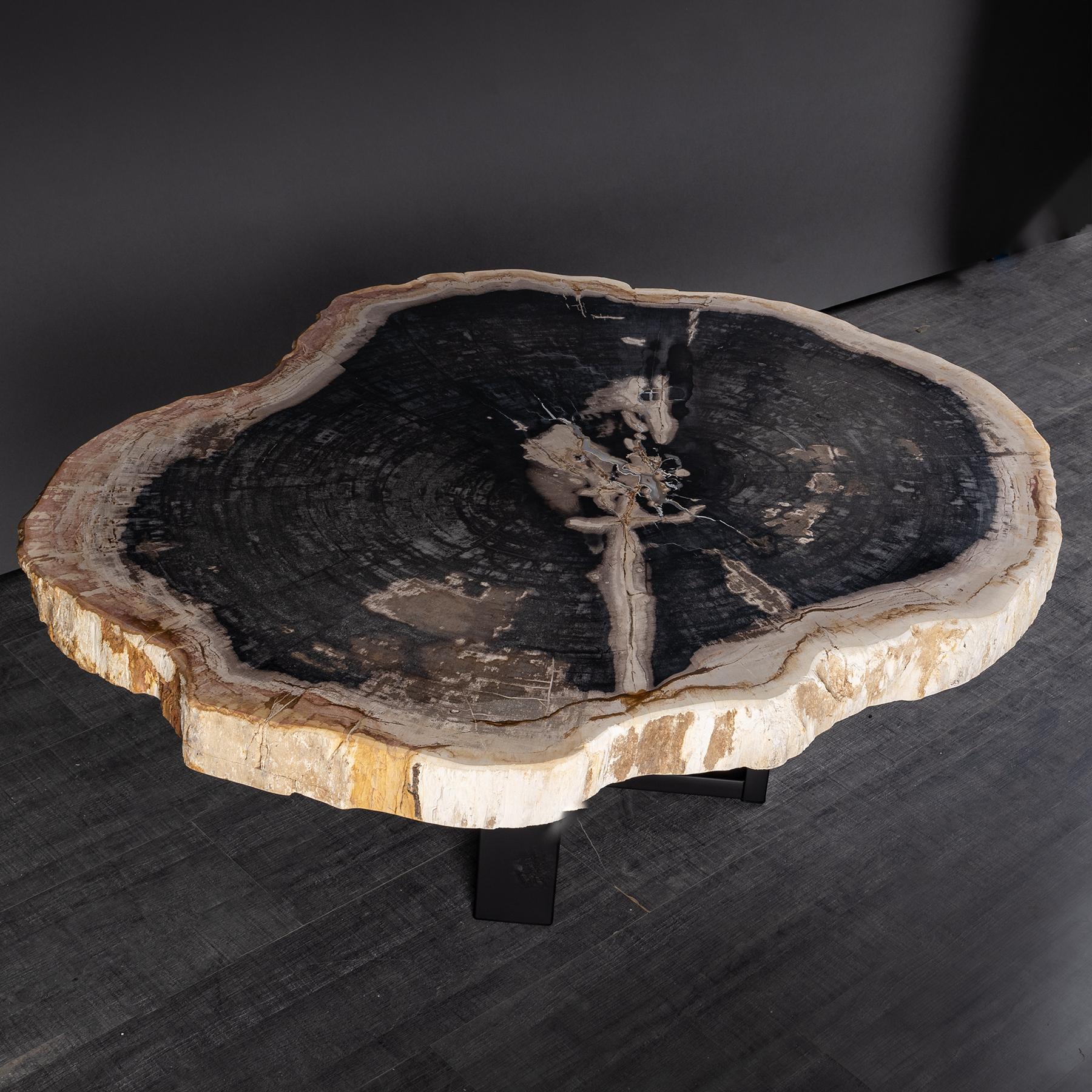 Organic Modern Center or Coffee Table, Natural Circular Shape, Petrified Wood with Metal Base