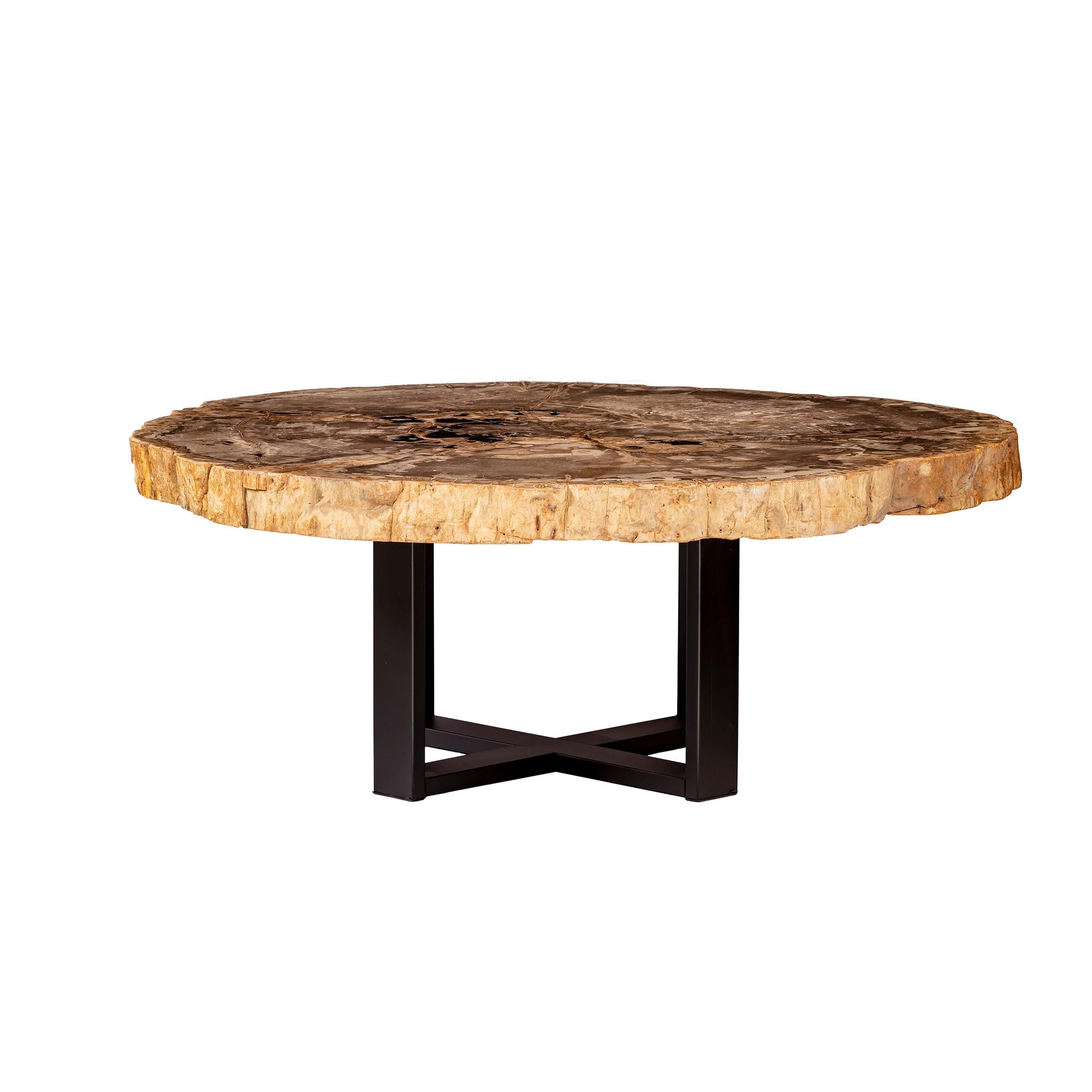 Organic Modern Center of Coffee Table, Natural Circular Shape, Petrified Wood with Metal Base