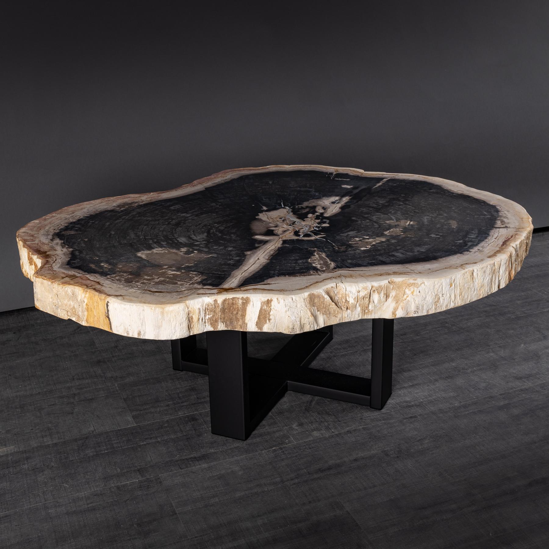 Mexican Center or Coffee Table, Natural Circular Shape, Petrified Wood with Metal Base