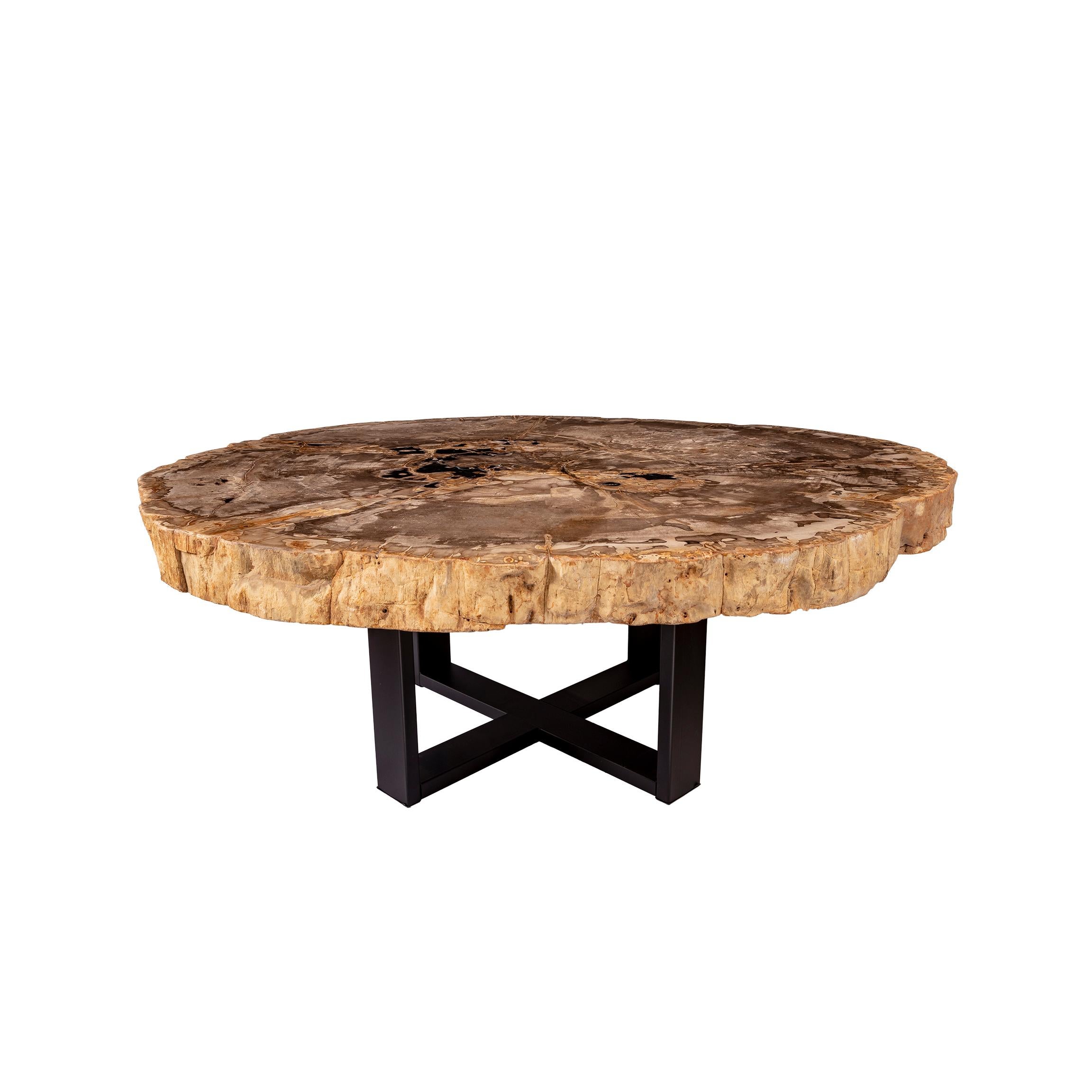 Mexican Center of Coffee Table, Natural Circular Shape, Petrified Wood with Metal Base