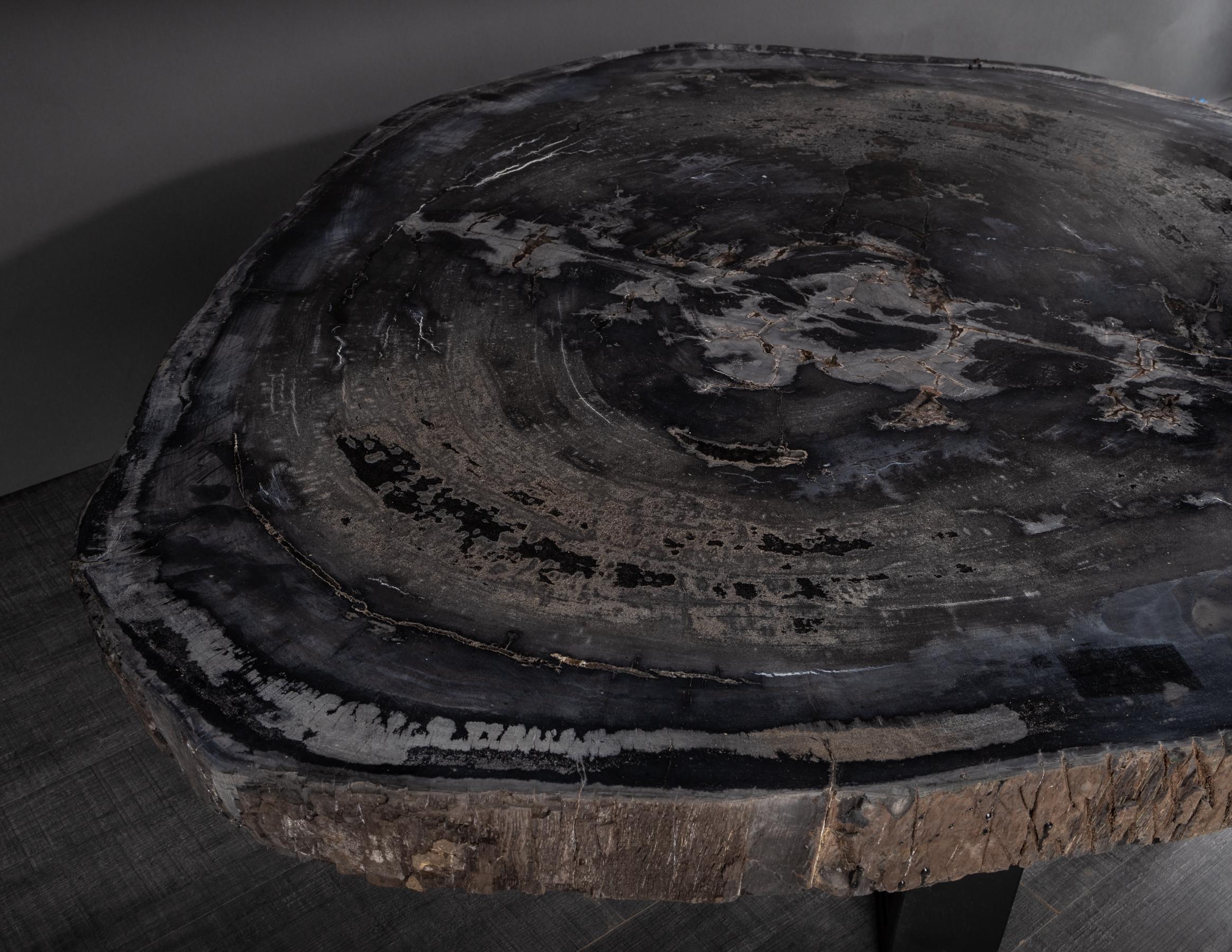 Polished Center or Coffee Table, Natural Circular Shape, Petrified Wood with Metal Base