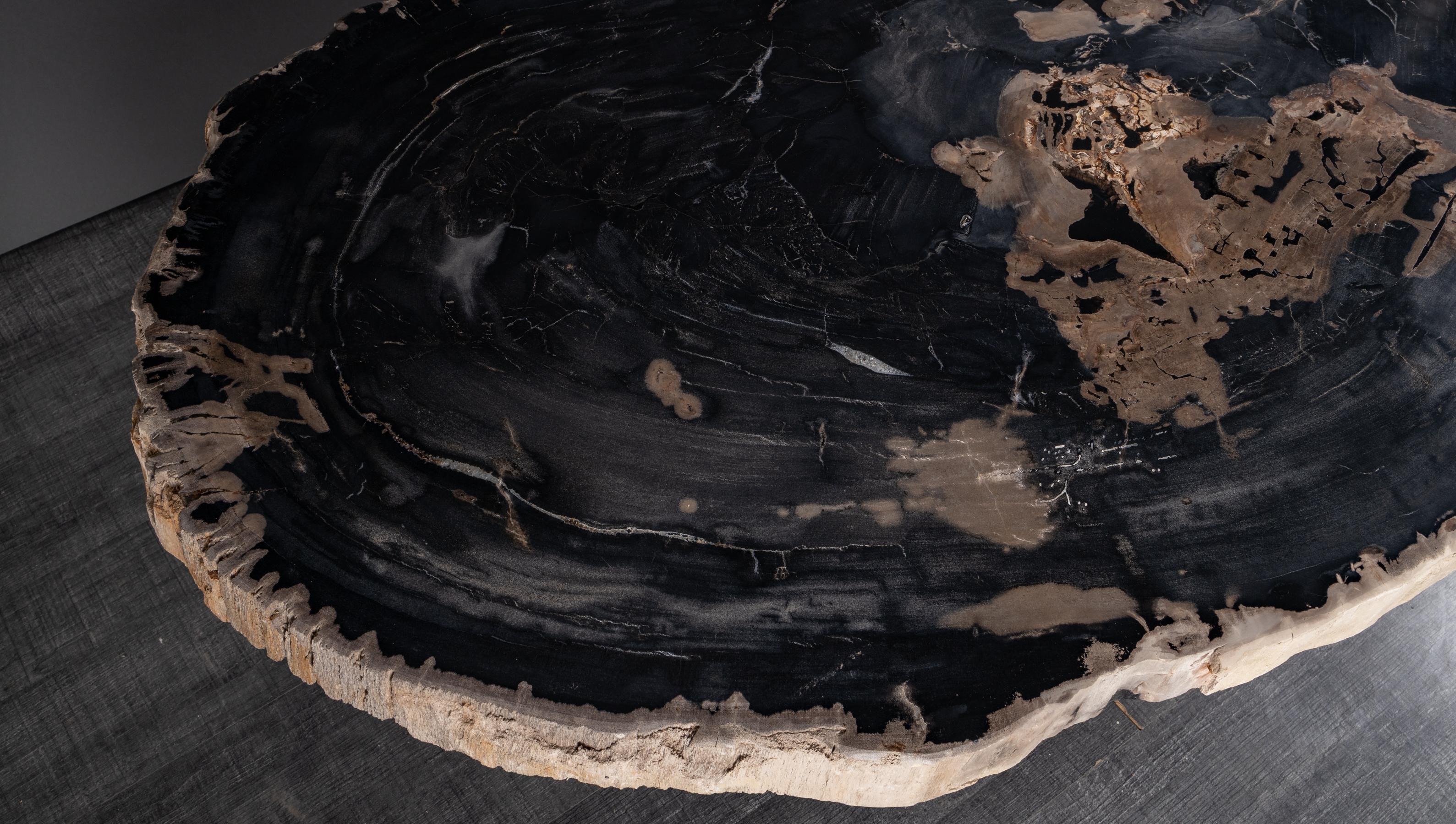 Powder-Coated Center or Coffee Table, Natural Circular Shape, Petrified Wood with Metal Base