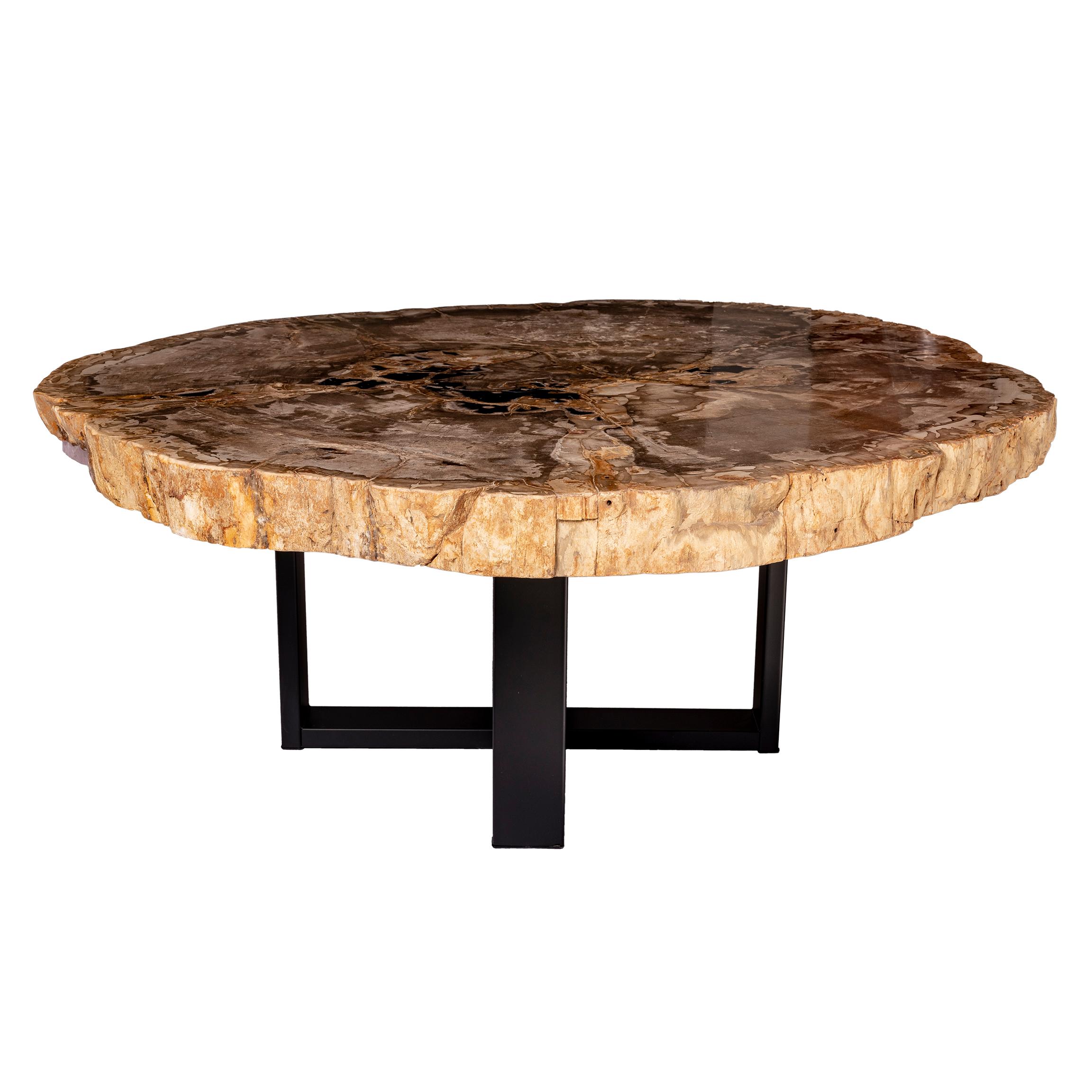 Polished Center of Coffee Table, Natural Circular Shape, Petrified Wood with Metal Base