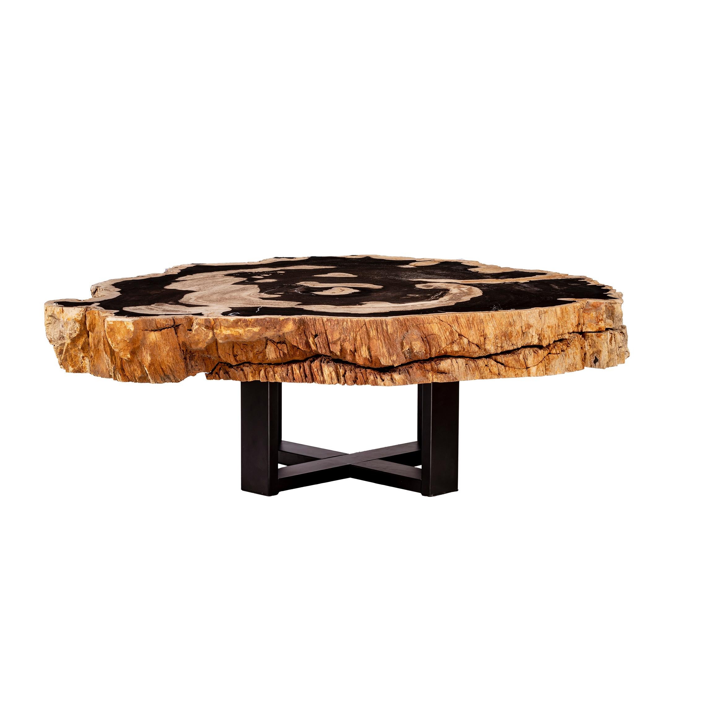 Center of Coffee Table, Natural Circular Shape, Petrified Wood with Metal Base In New Condition In Polanco, CDMX