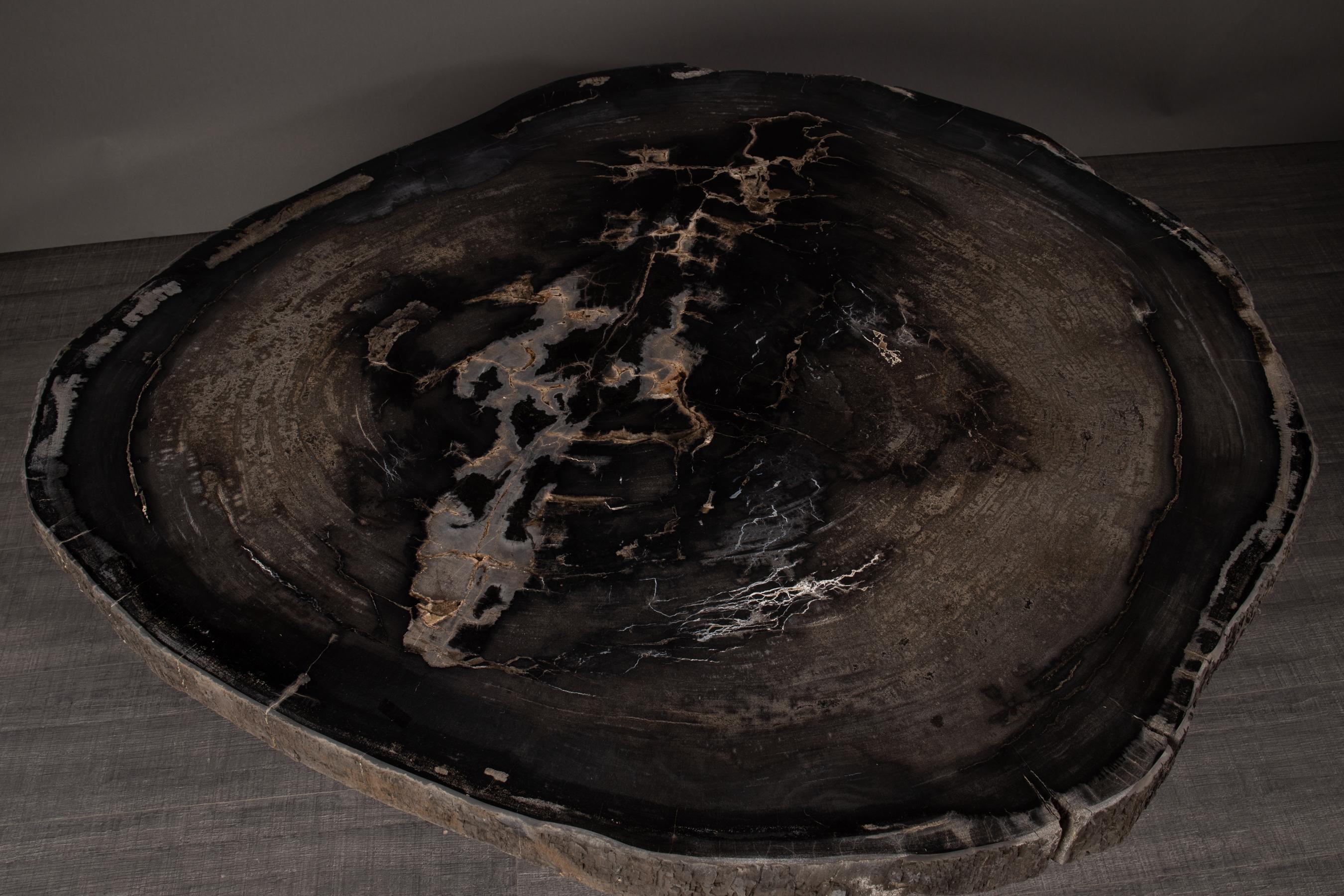 Center or Coffee Table, Natural Circular Shape, Petrified Wood with Metal Base In New Condition In Polanco, CDMX