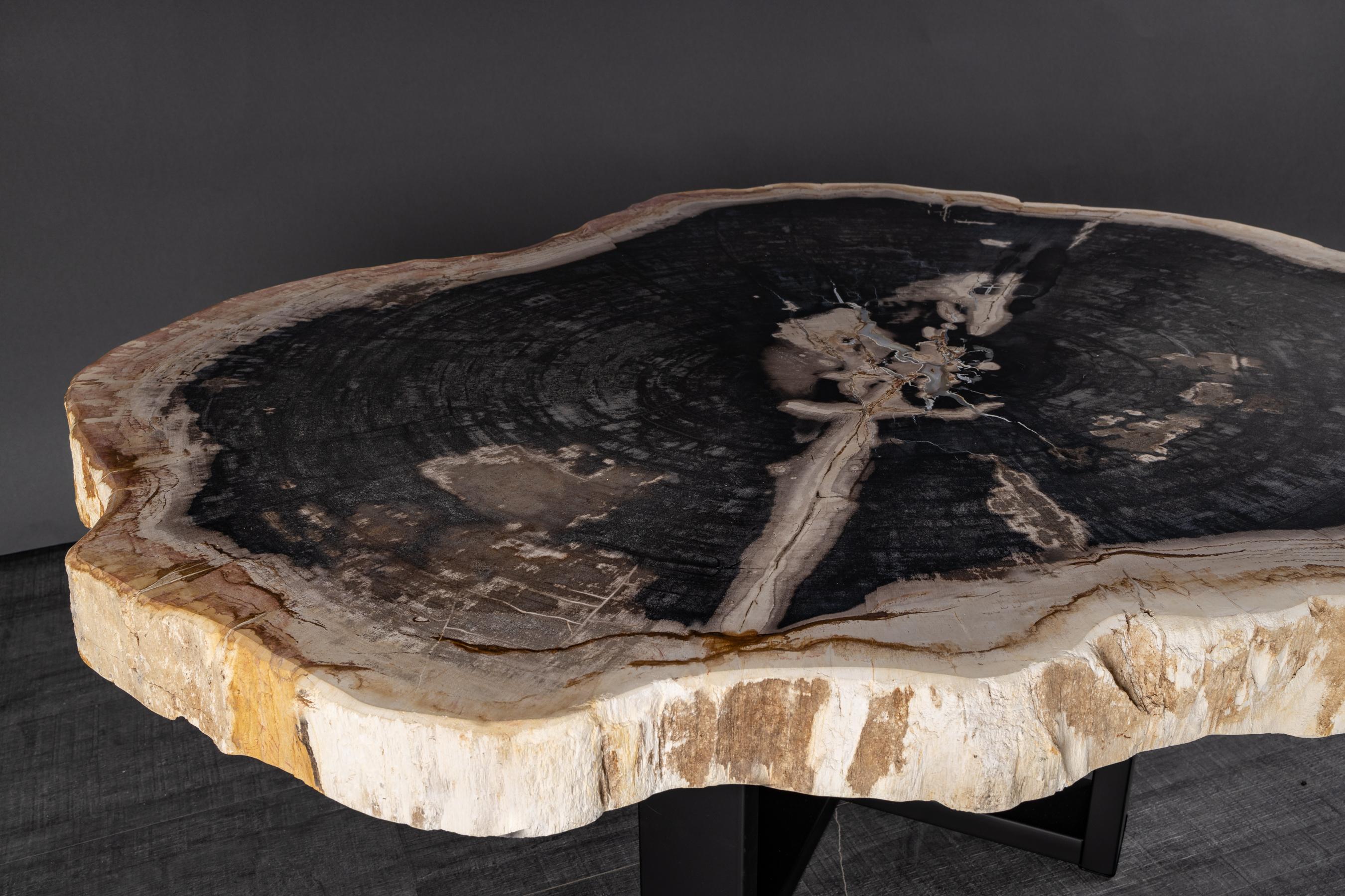 Center or Coffee Table, Natural Circular Shape, Petrified Wood with Metal Base In New Condition In Polanco, CDMX