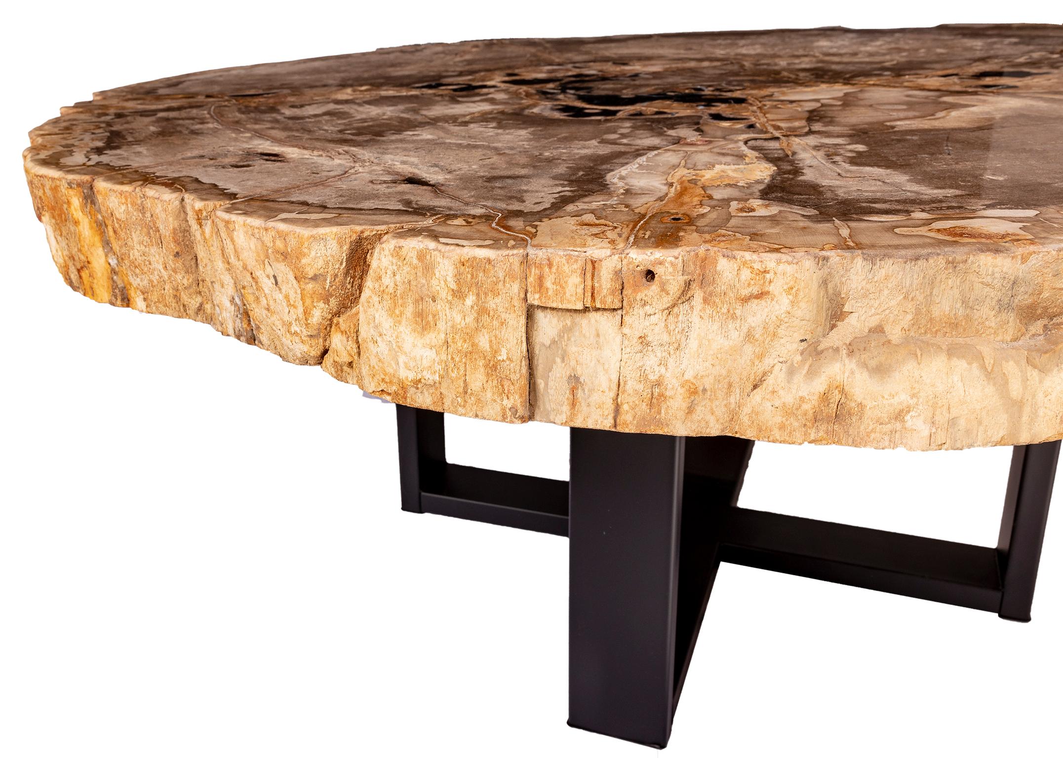 Center of Coffee Table, Natural Circular Shape, Petrified Wood with Metal Base In New Condition In Polanco, CDMX