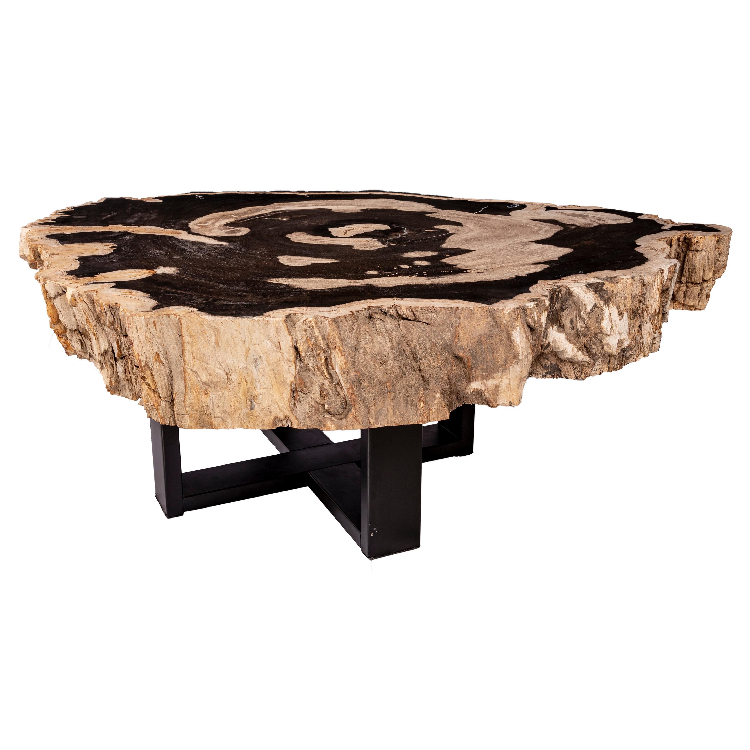 Contemporary Center of Coffee Table, Natural Circular Shape, Petrified Wood with Metal Base