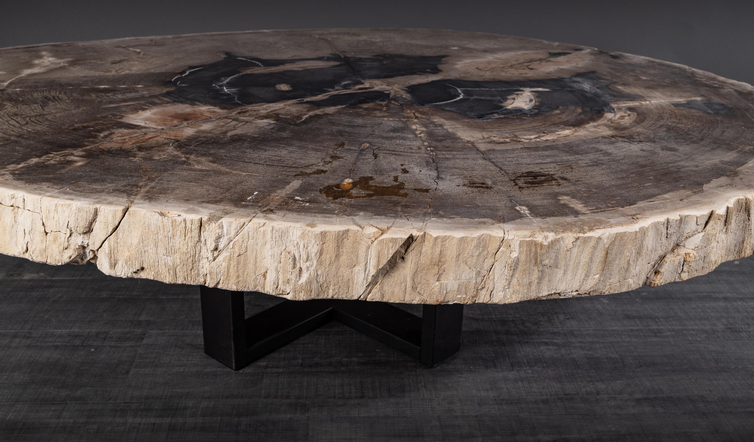Contemporary Center or Coffee Table, Natural Circular Shape, Petrified Wood with Metal Base