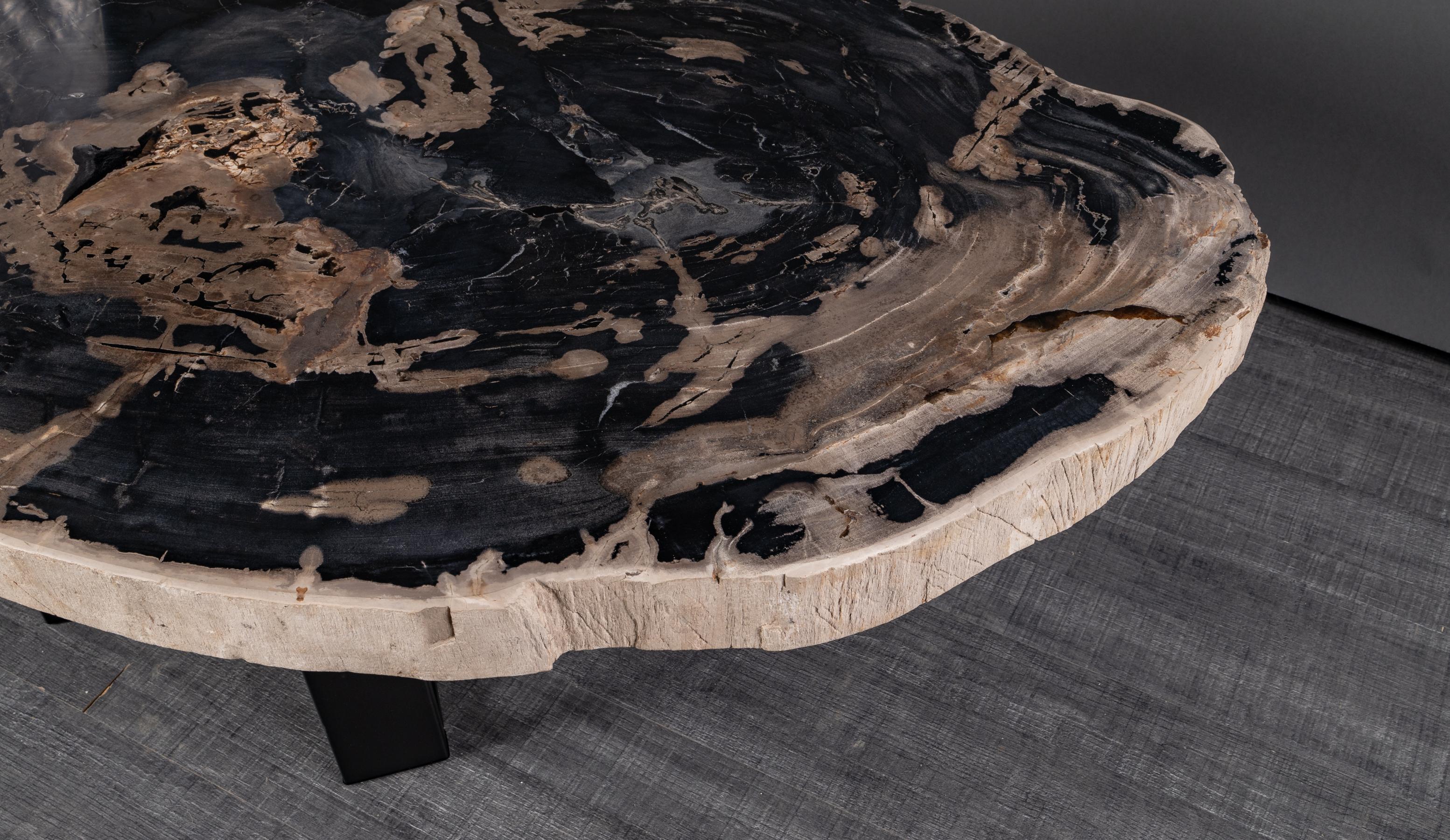 Contemporary Center or Coffee Table, Natural Circular Shape, Petrified Wood with Metal Base