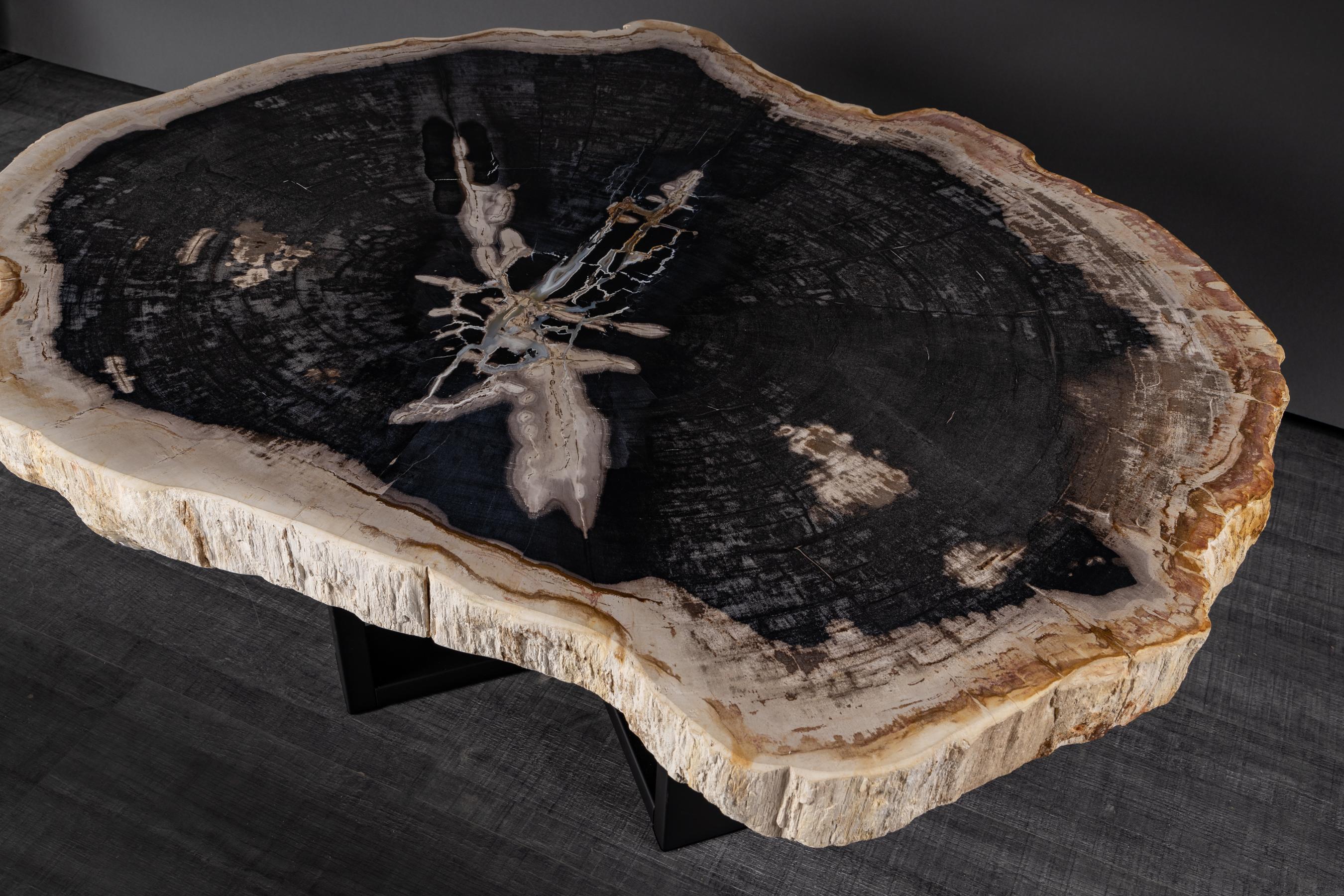 Contemporary Center or Coffee Table, Natural Circular Shape, Petrified Wood with Metal Base