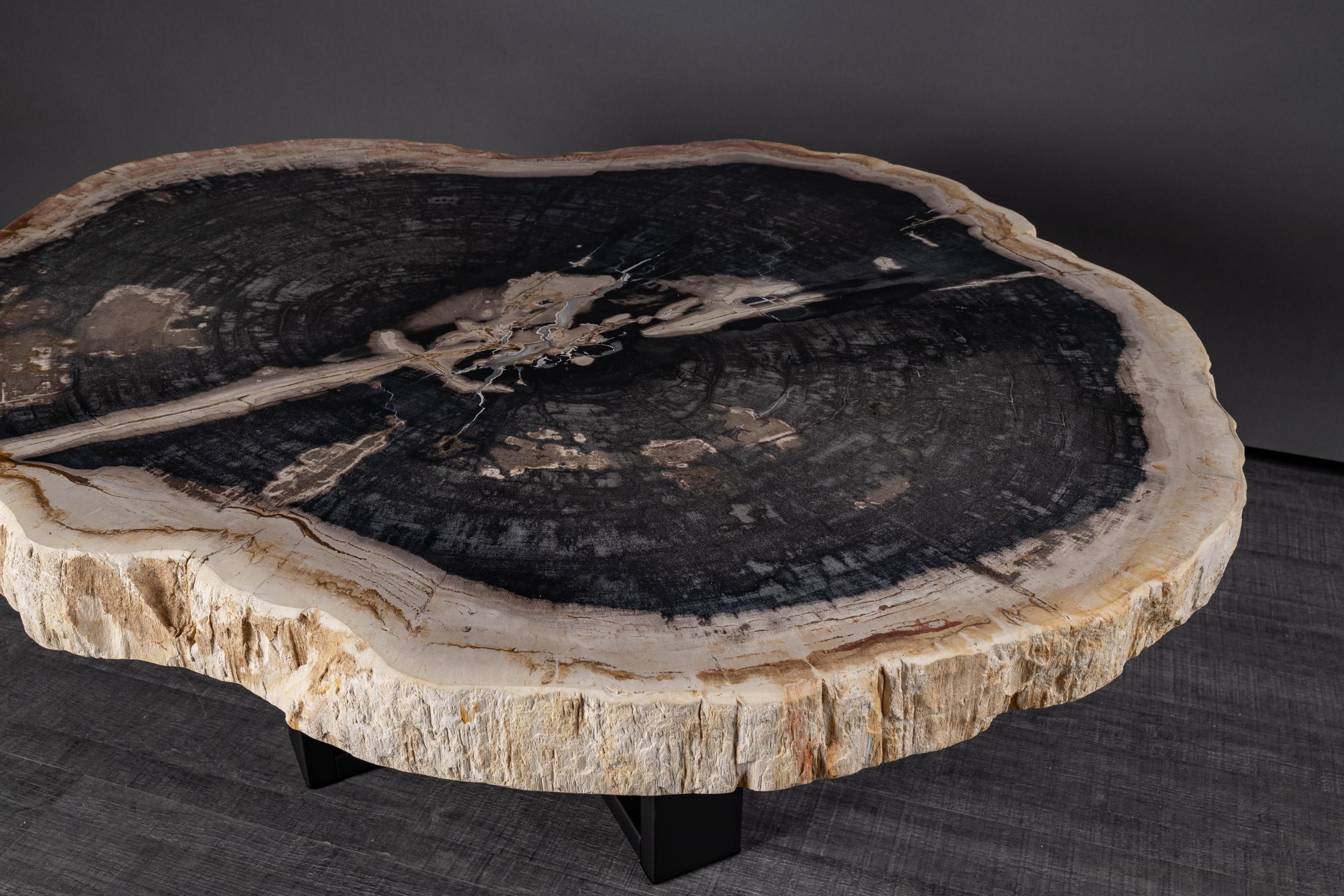 Contemporary Center or Coffee Table, Natural Circular Shape, Petrified Wood with Metal Base