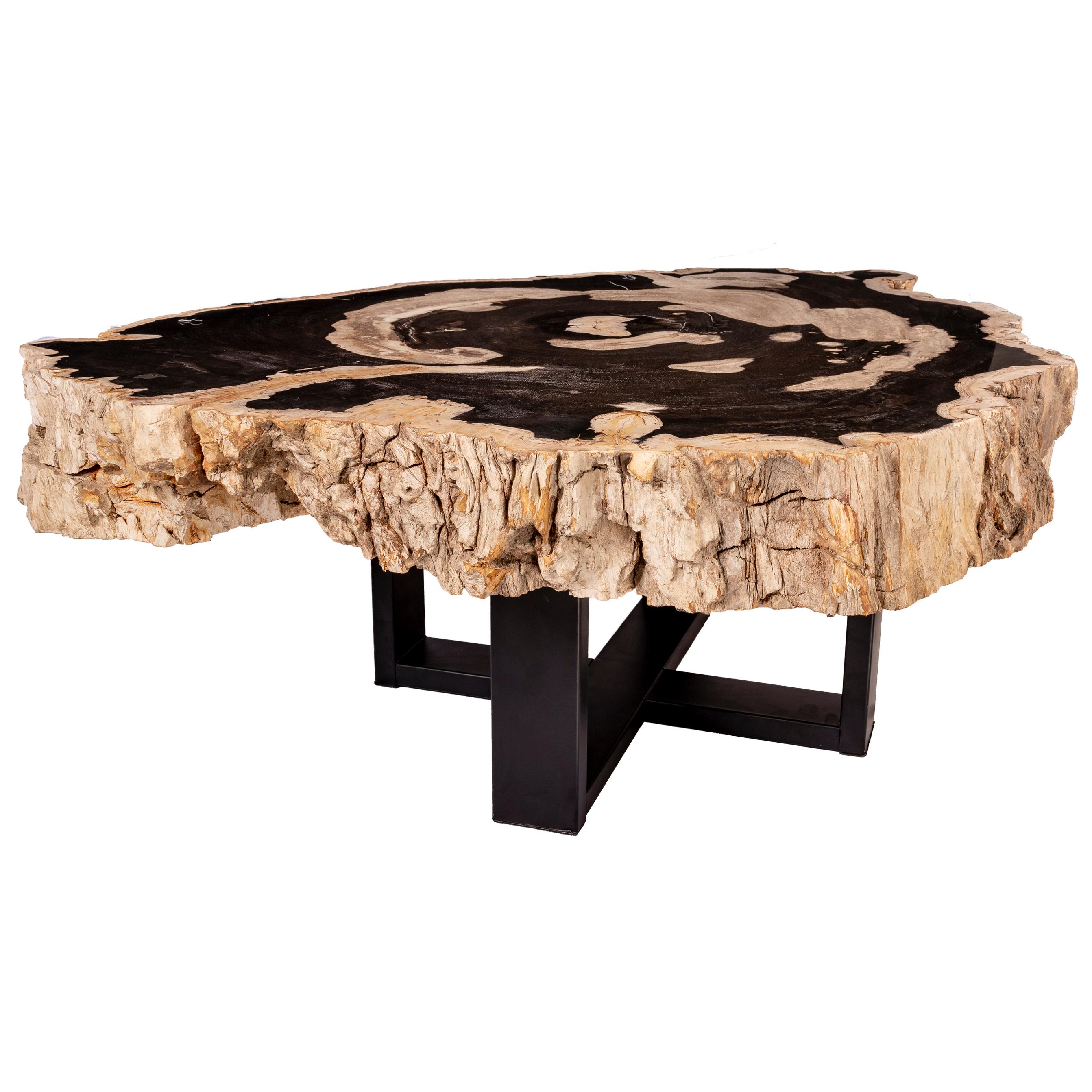 Center of Coffee Table, Natural Circular Shape, Petrified Wood with Metal Base 1