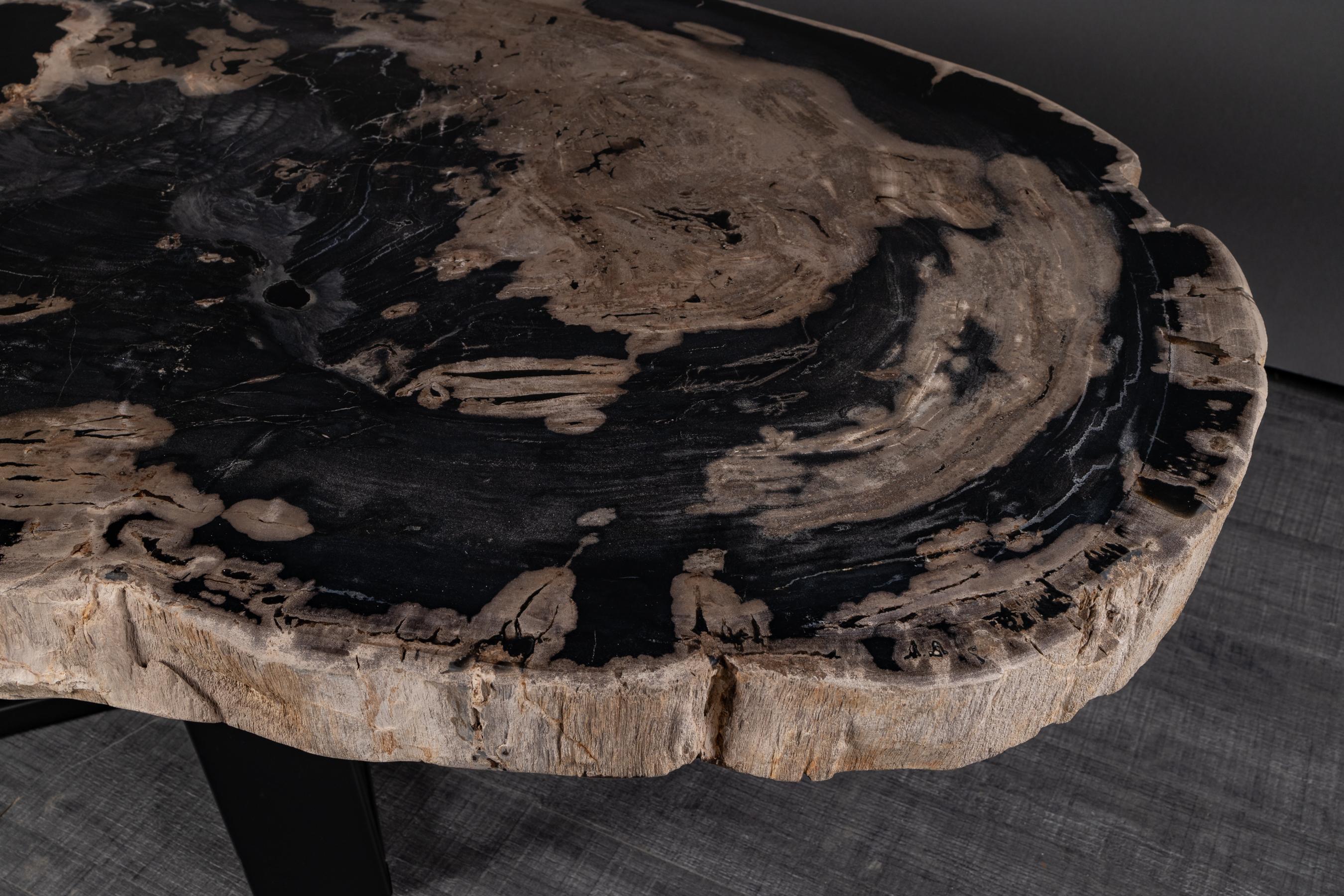 Center or Coffee Table, Natural Circular Shape, Petrified Wood with Metal Base 1