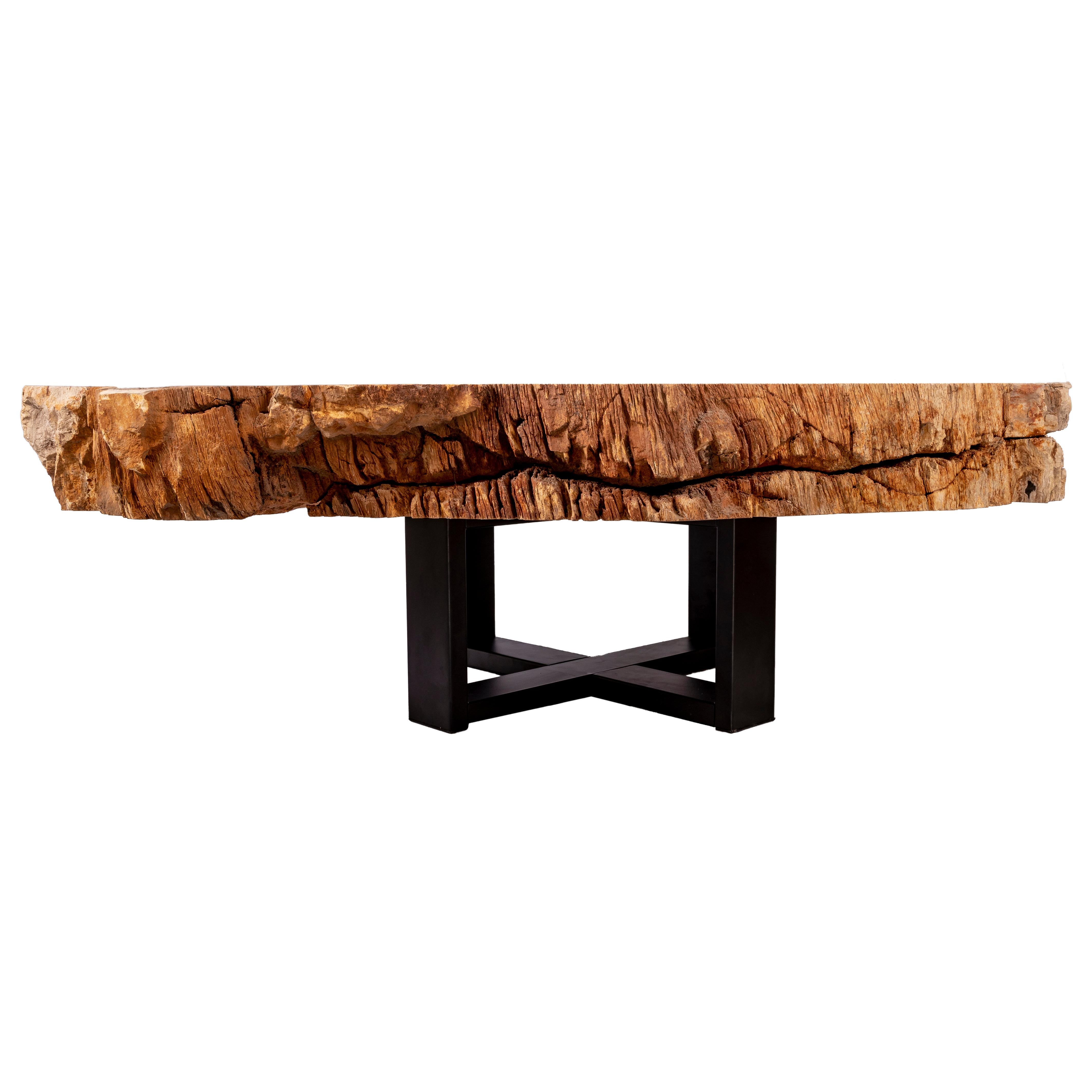 Center of Coffee Table, Natural Circular Shape, Petrified Wood with Metal Base 2