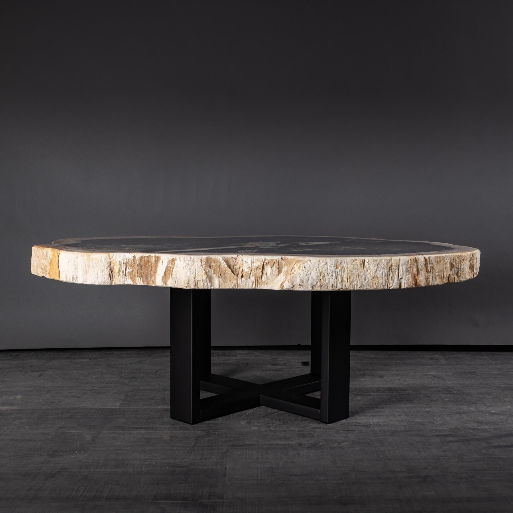 Center or Coffee Table, Natural Circular Shape, Petrified Wood with Metal Base 2