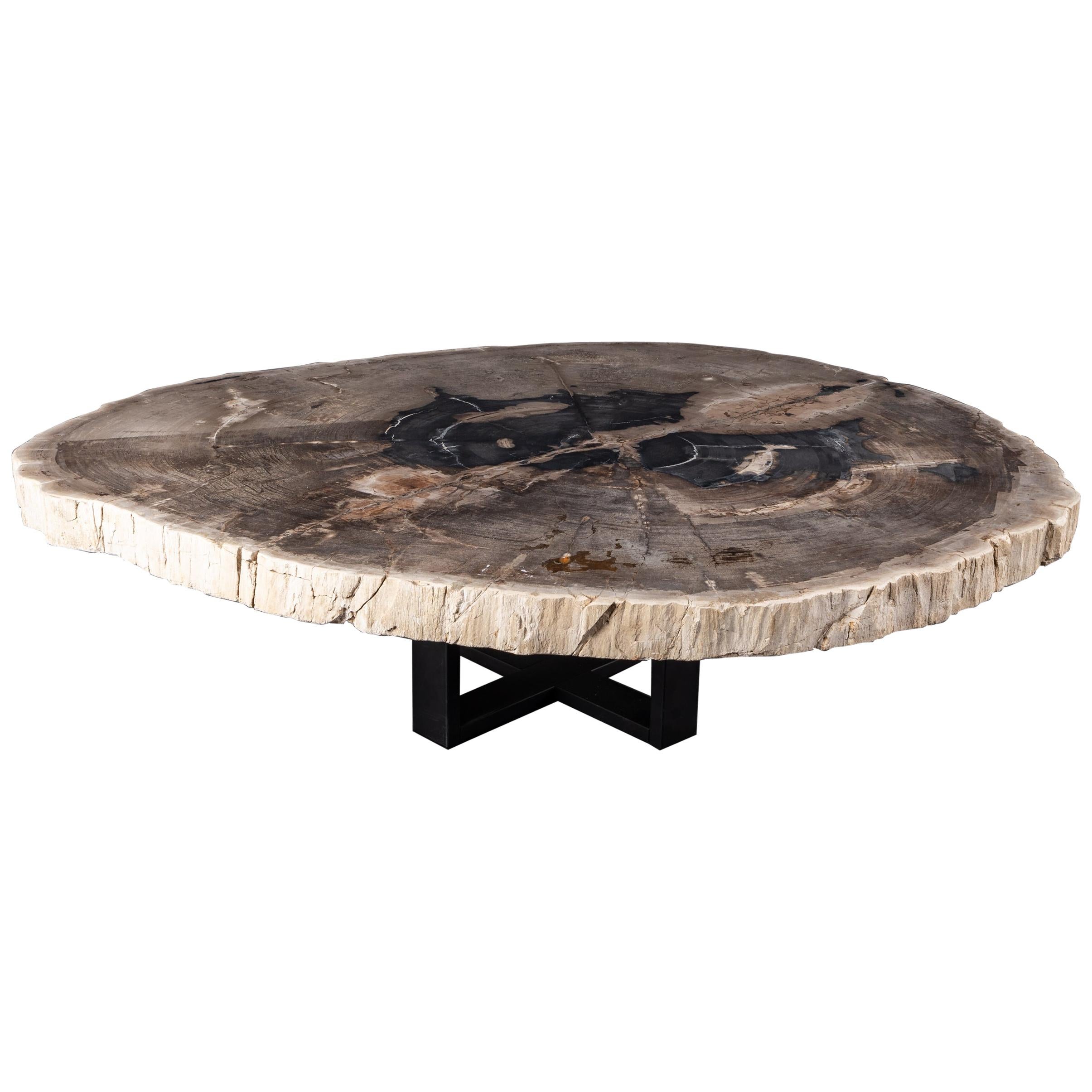 Center or Coffee Table, Natural Circular Shape, Petrified Wood with Metal Base