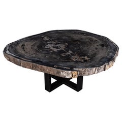 Center or Coffee Table, Natural Circular Shape, Petrified Wood with Metal Base