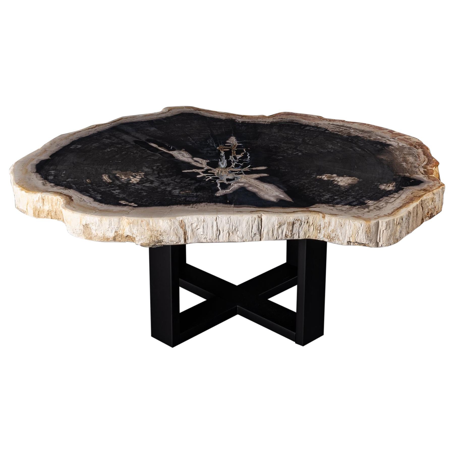 Center or Coffee Table, Natural Circular Shape, Petrified Wood with Metal Base