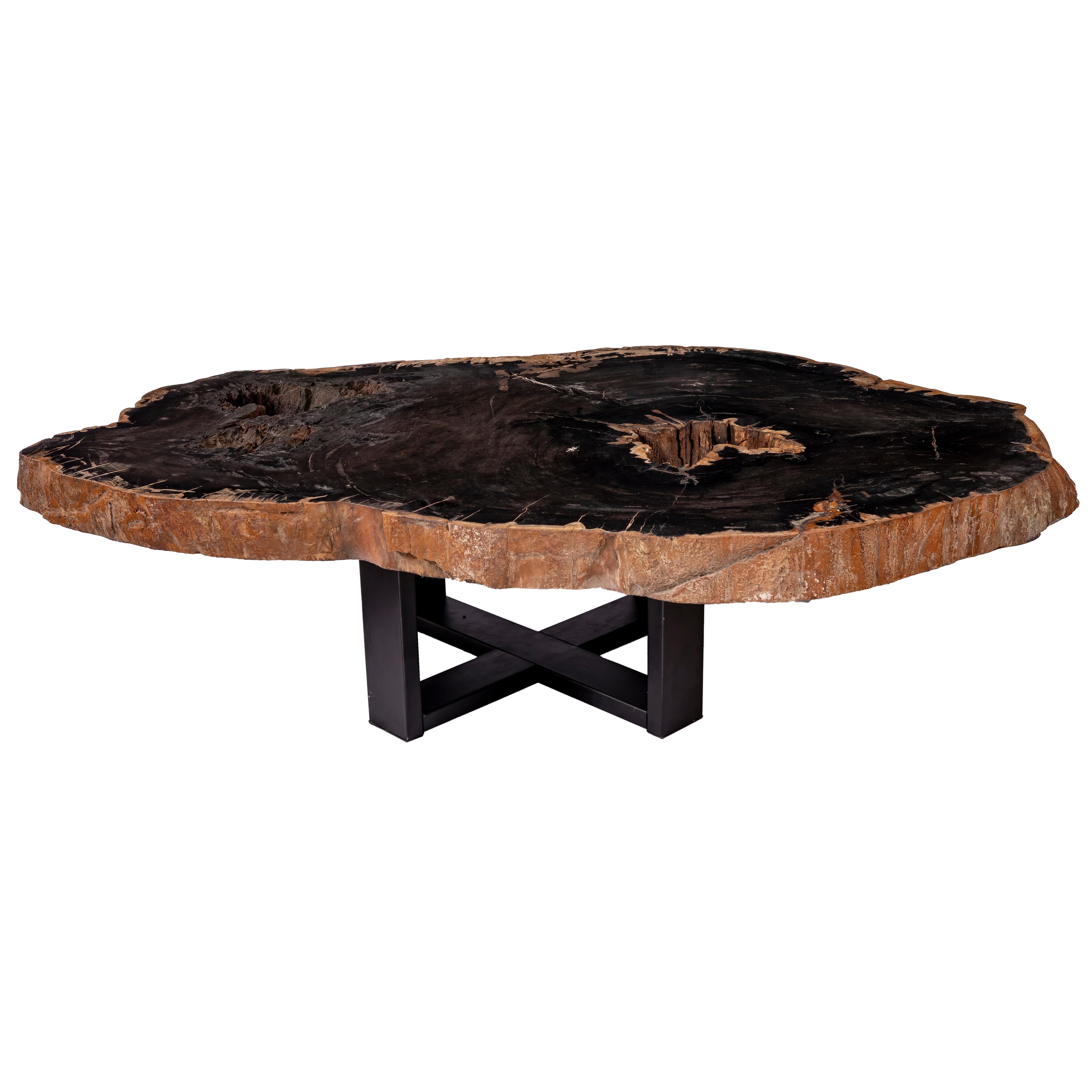 Centre of Coffee Table, Natural Oval Shape, Petrified Wood with Metal Base In New Condition In Polanco, CDMX