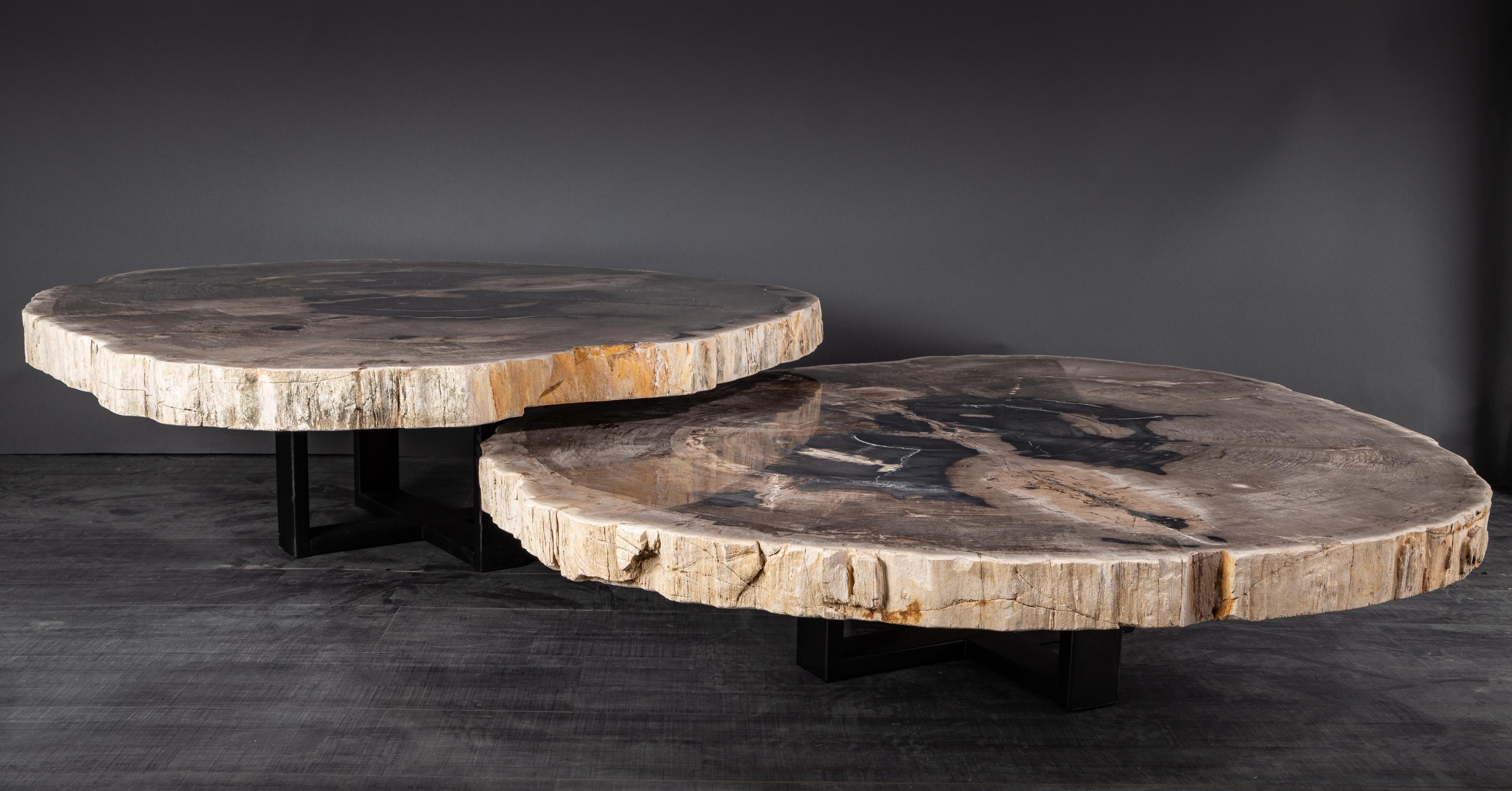 Mexican  Pair of Petrified Wood Center or Coffee Table with black Metal Base