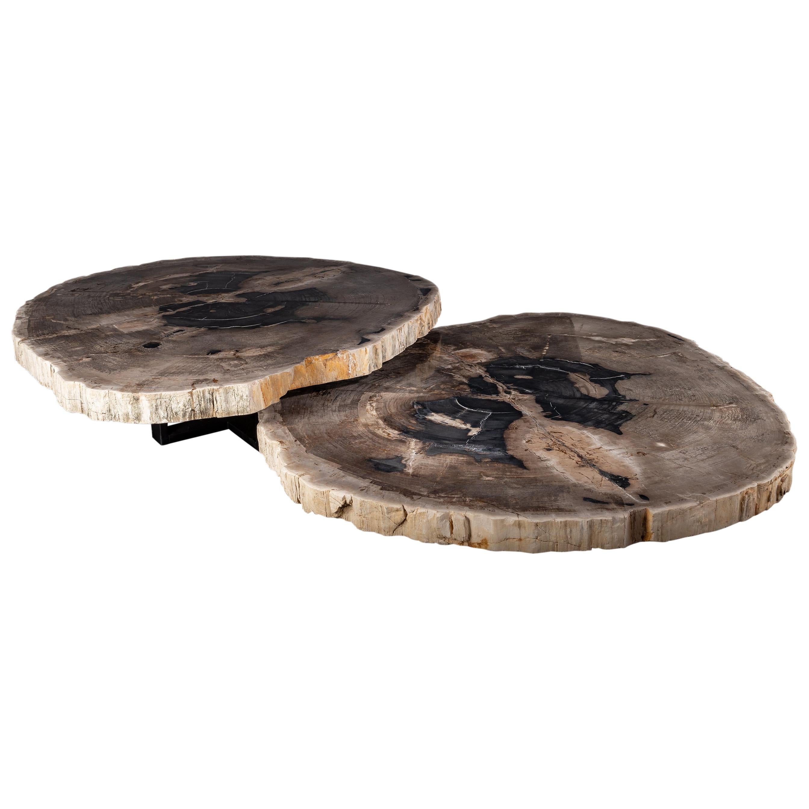  Pair of Petrified Wood Center or Coffee Table with black Metal Base