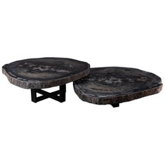 Pair of Petrified Wood Center or Coffee Table with black Metal Base