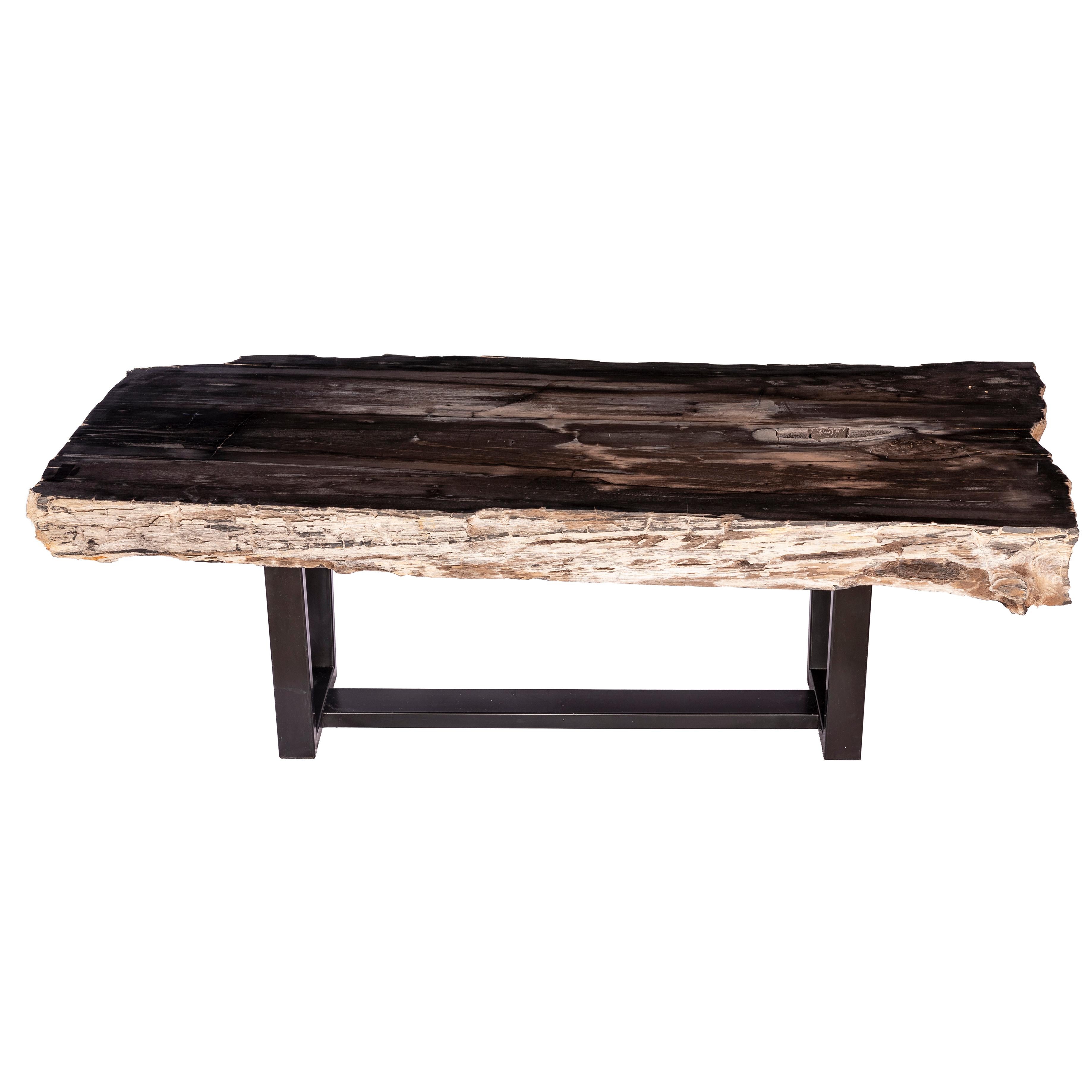 Mexican Center of Coffee Table, Rectangular Shape, Petrified Wood with Metal Base