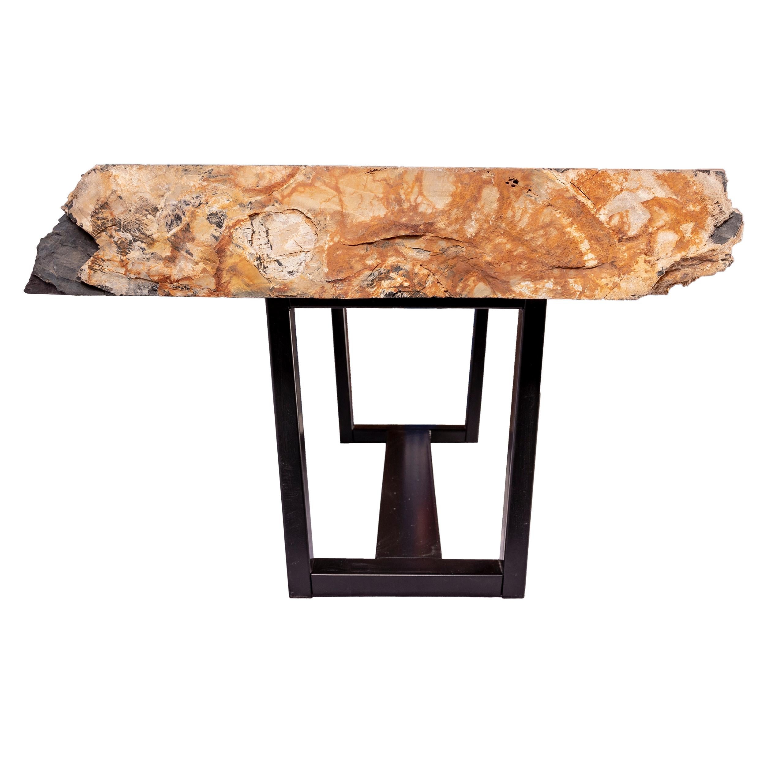 Center of Coffee Table, Rectangular Shape, Petrified Wood with Metal Base In New Condition In Polanco, CDMX