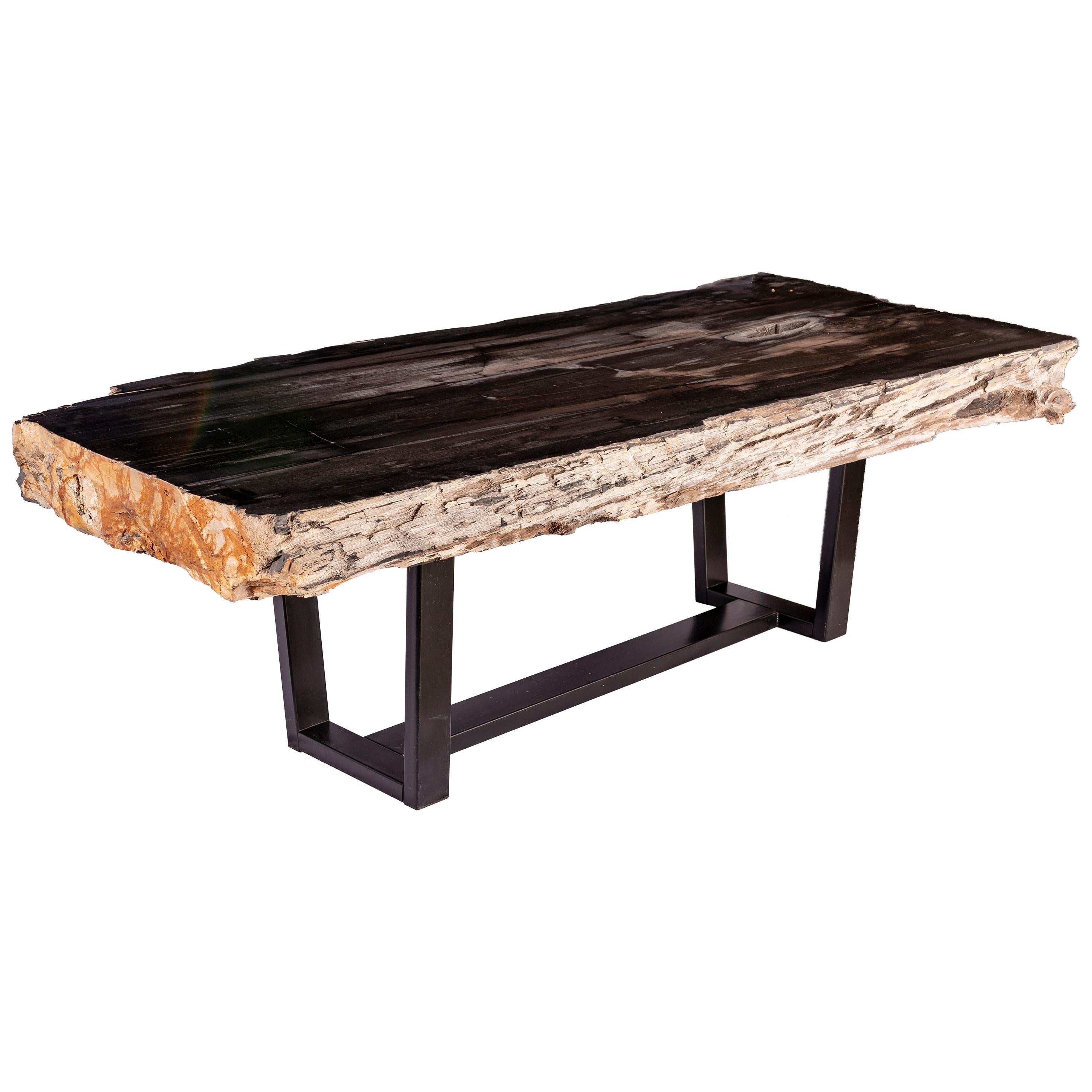 Polished Center of Coffee Table, Rectangular Shape, Petrified Wood with Metal Base