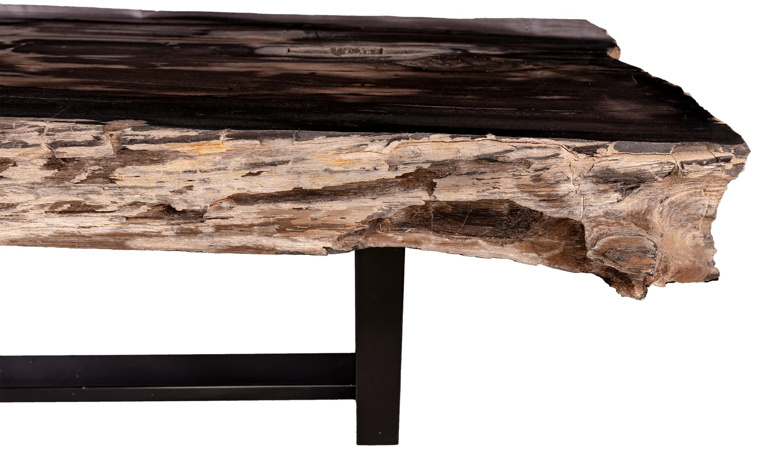 Contemporary Center of Coffee Table, Rectangular Shape, Petrified Wood with Metal Base