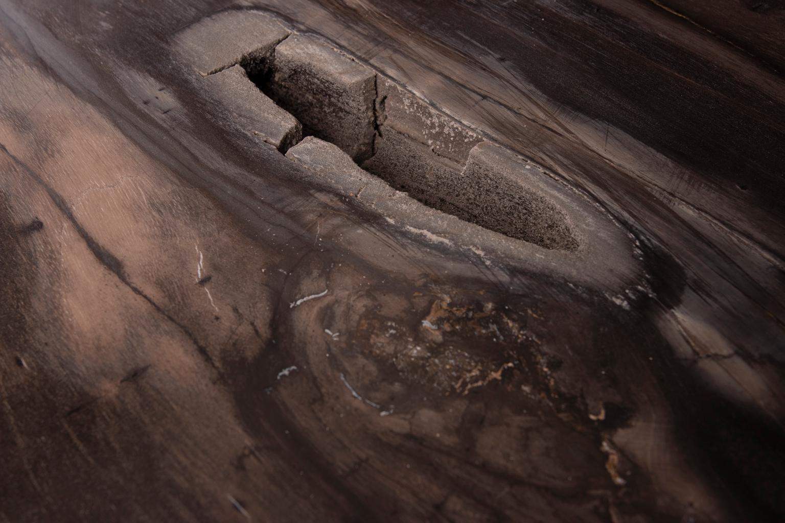 Center of Coffee Table, Rectangular Shape, Petrified Wood with Metal Base 1