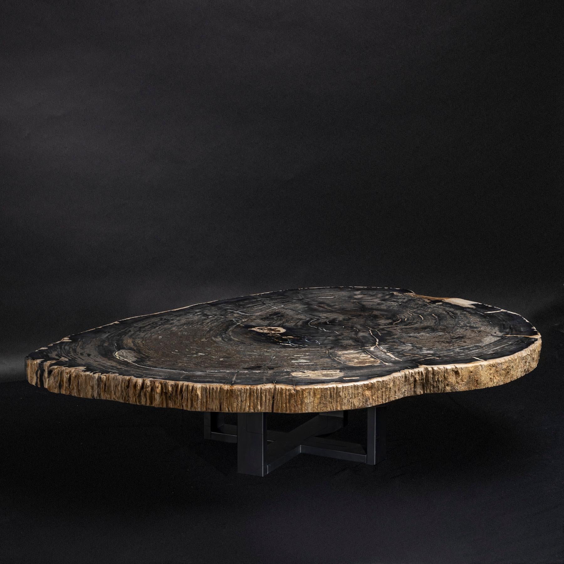 Organic Modern Center or Coffee Table, Natural Oval Shape, Petrified Wood with Metal Base