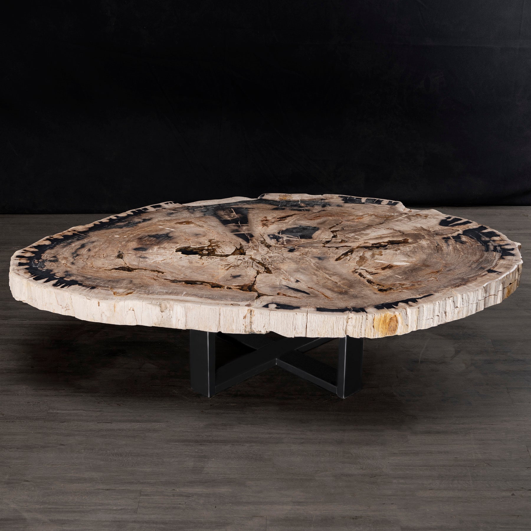 Center or Coffee Table, Natural Shape, Petrified Wood with Metal Base