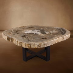 Tavolino da centro o da caffè in legno pietrificato 20 Myr, forma naturale con base in metallo