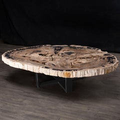 Mittel- oder Couchtisch, natürliches Holz, versteinertes Holz mit Metallsockel