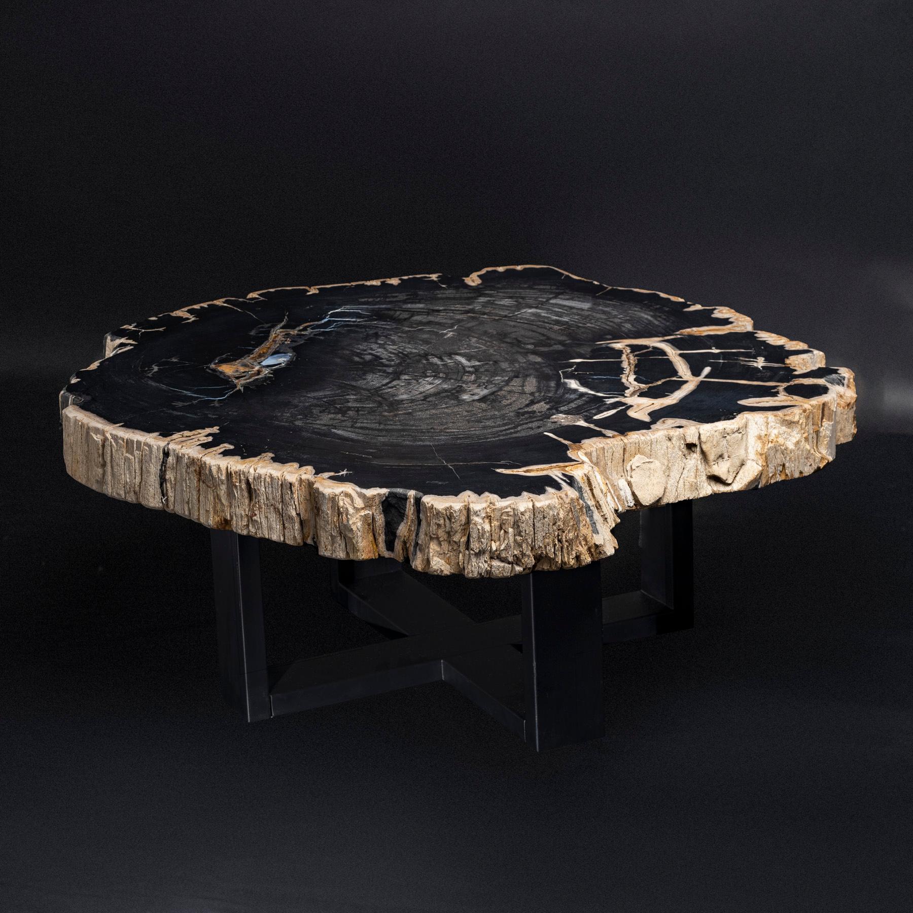 black petrified wood coffee table