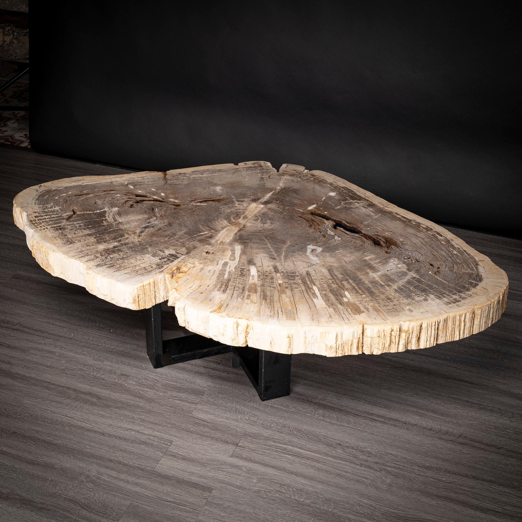 table bois fossilise