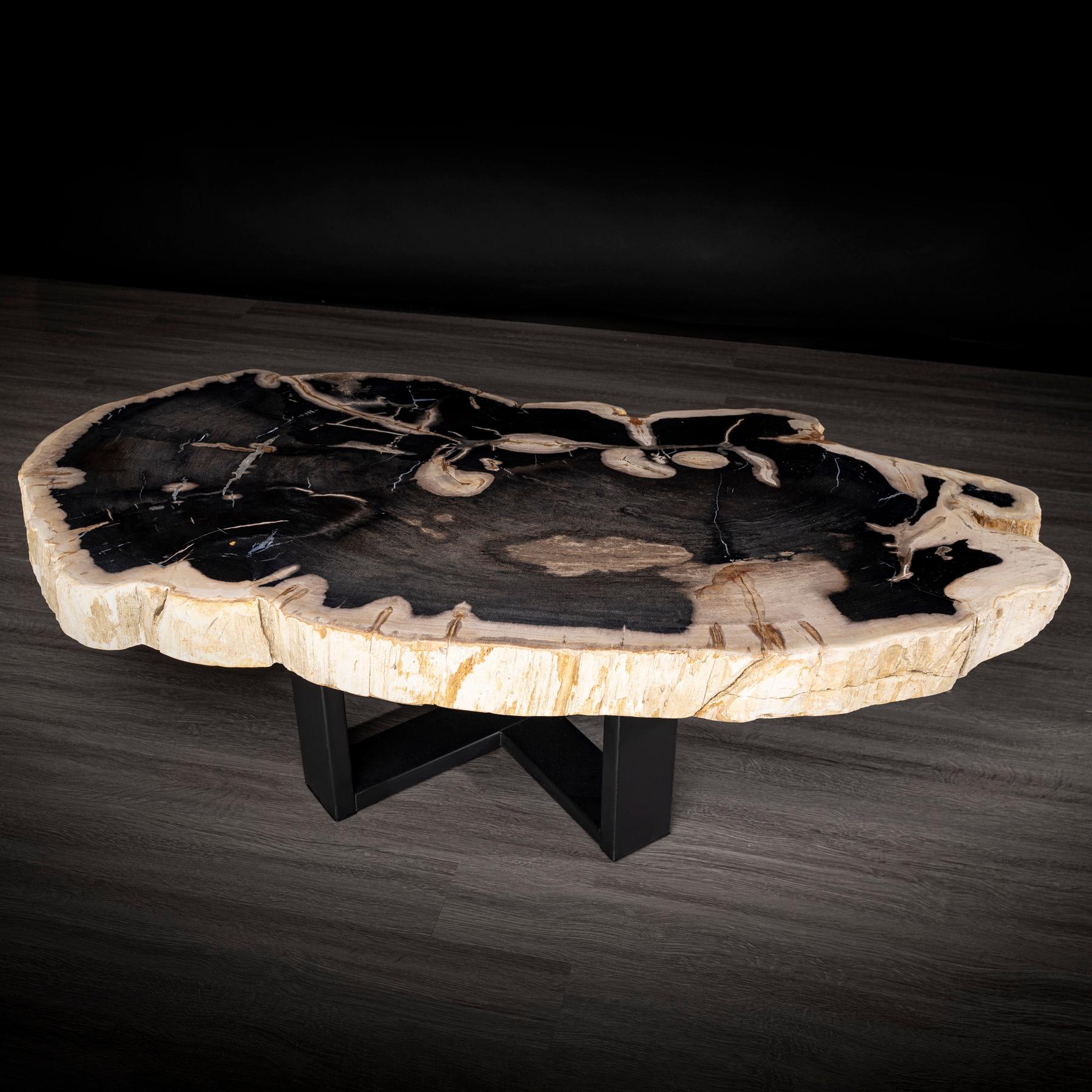 Organic Modern Center or Coffee Table, Natural Shape, Petrified Wood with Metal Base