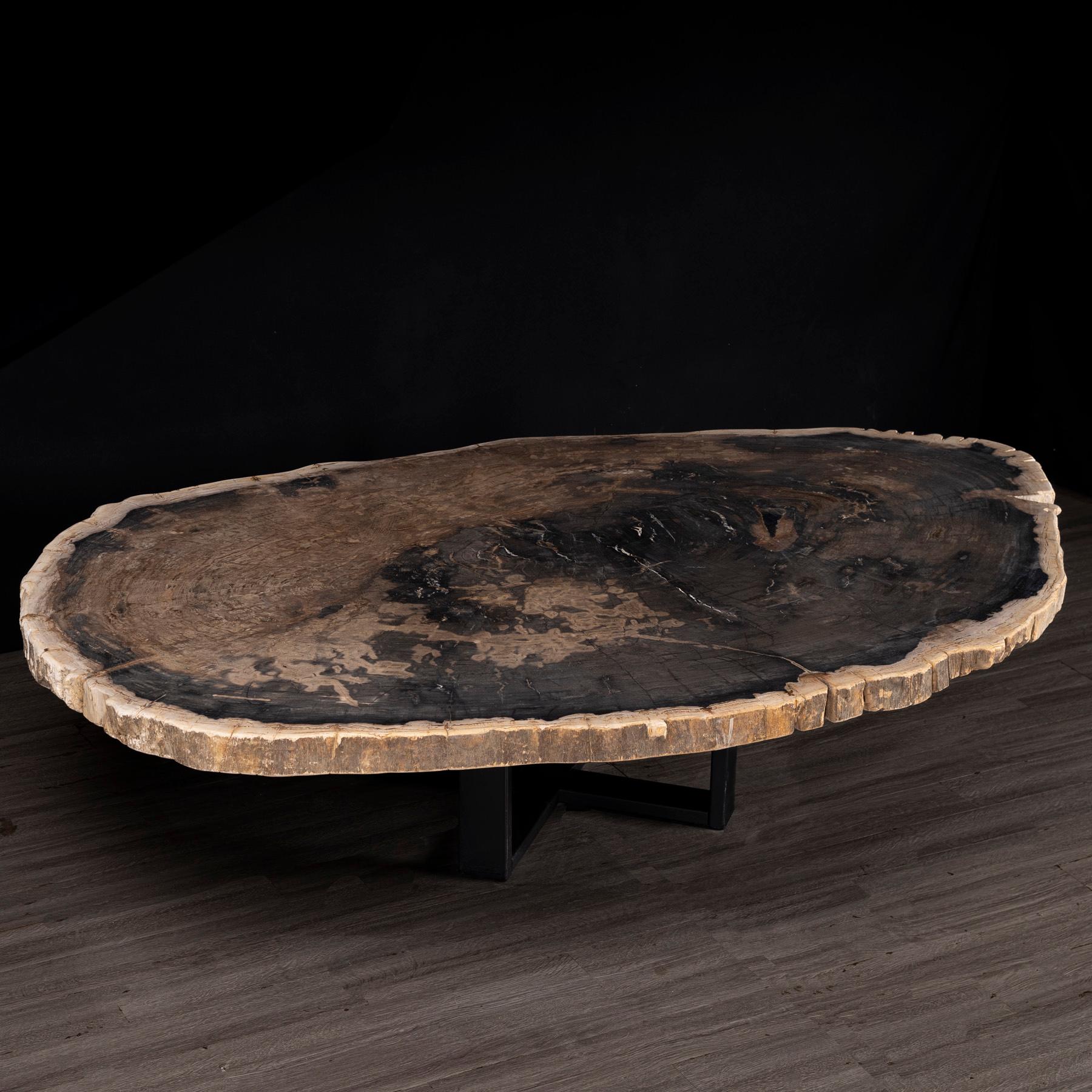 table en bois fossilise